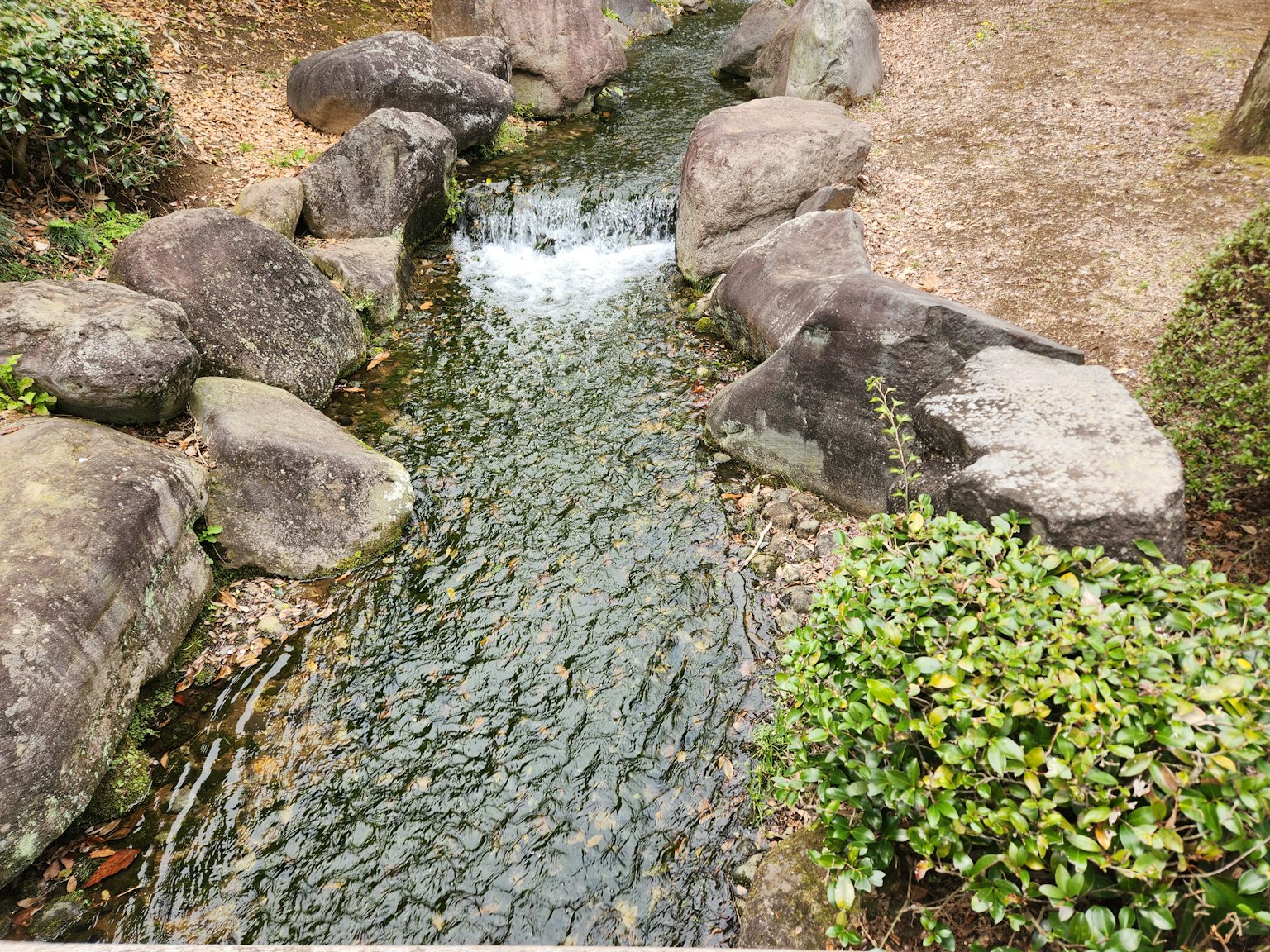 小溪周围环绕着岩石和绿植的风景