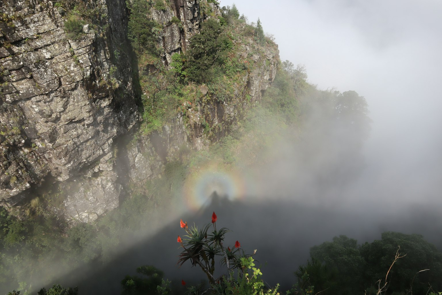 Paisaje montañoso con un arcoíris apareciendo a través de la niebla y plantas verdes