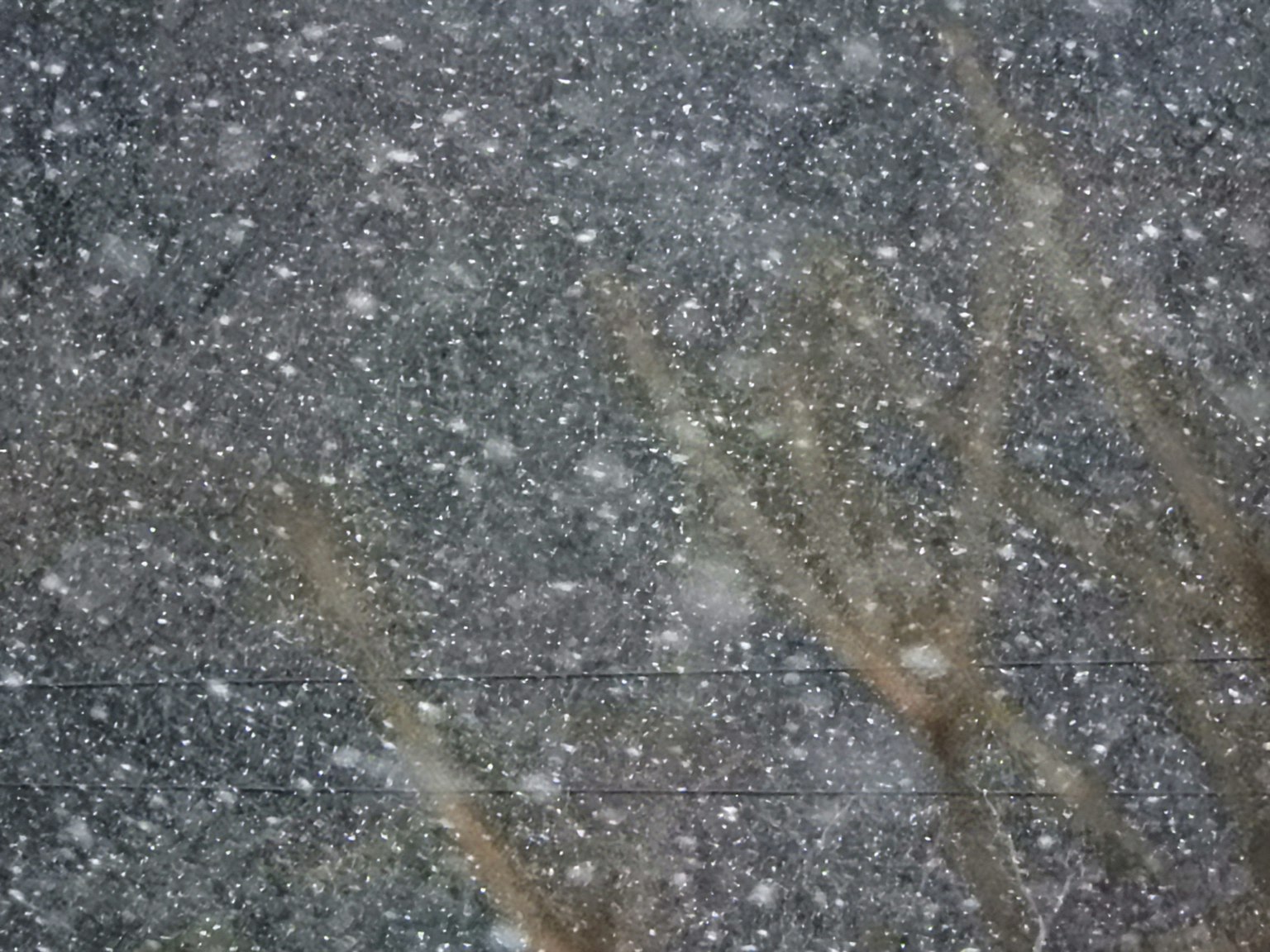 Snow falling with blurred tree branches in the background
