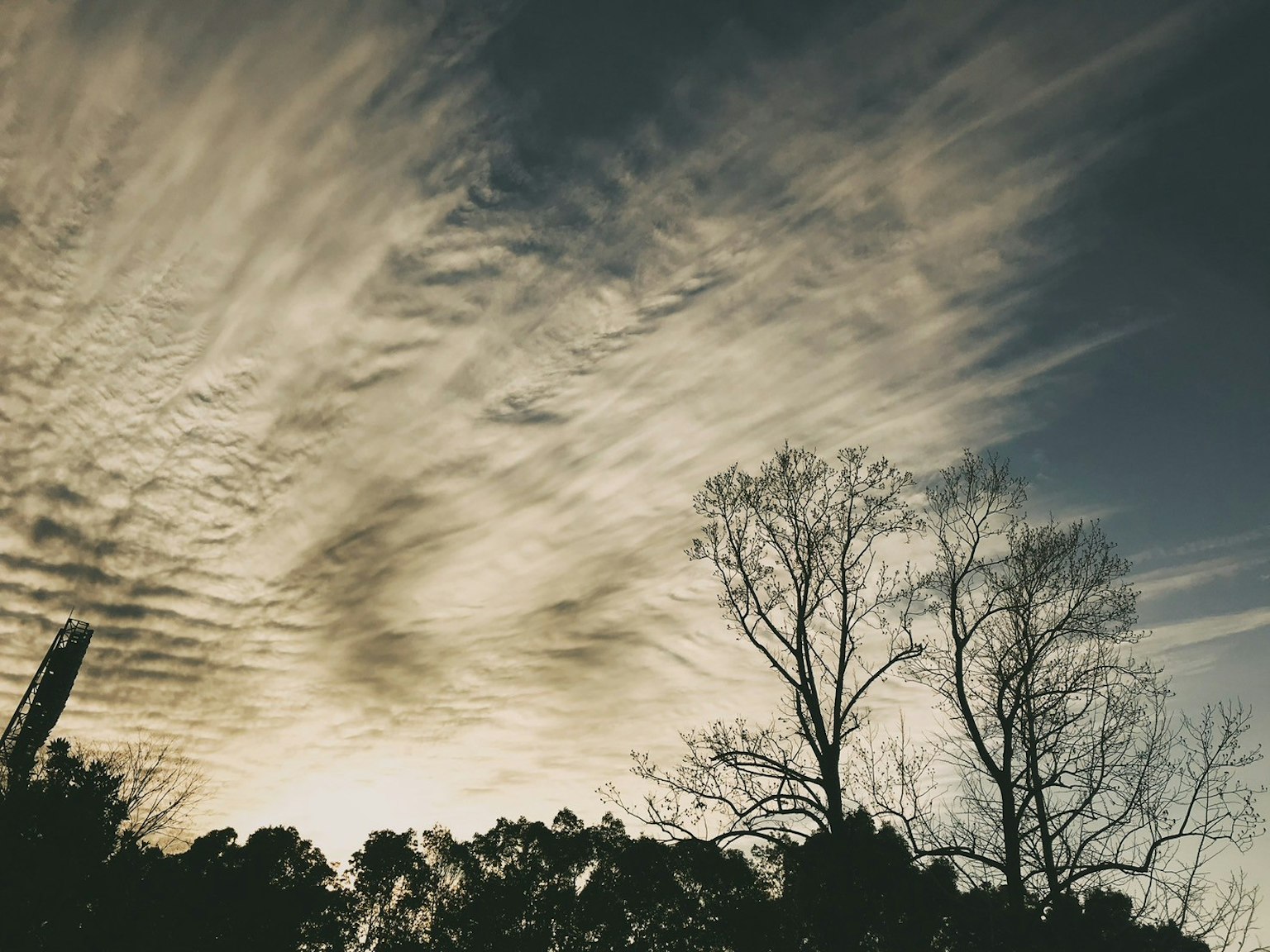 Cielo dramático con nubes en espiral y árboles en silueta al atardecer