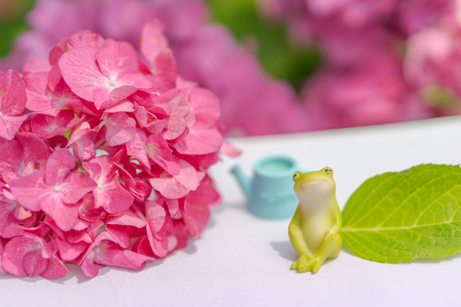 Cảnh dễ thương với hoa cẩm tú cầu màu hồng và một bức tượng ếch nhỏ