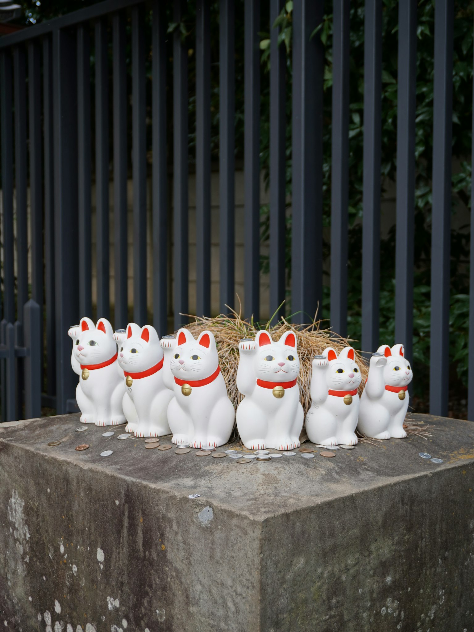 白い招き猫が並ぶ石の台の上に置かれている