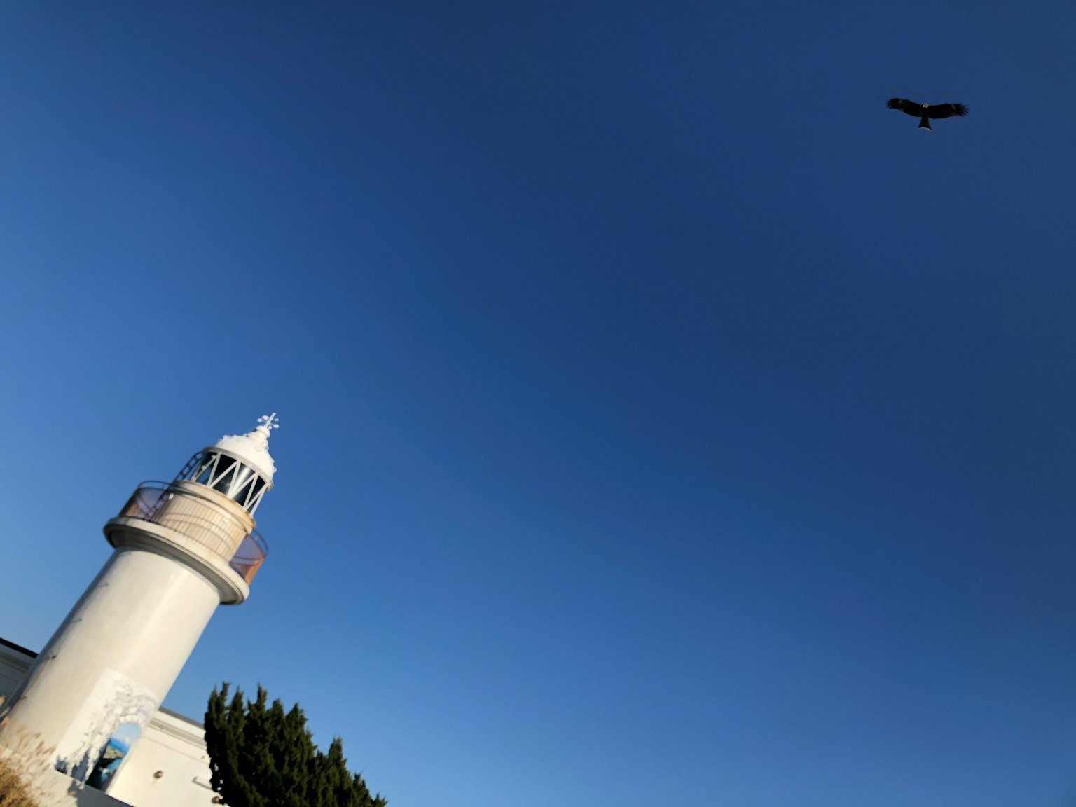 Mercusuar di bawah langit biru dengan burung terbang di atas