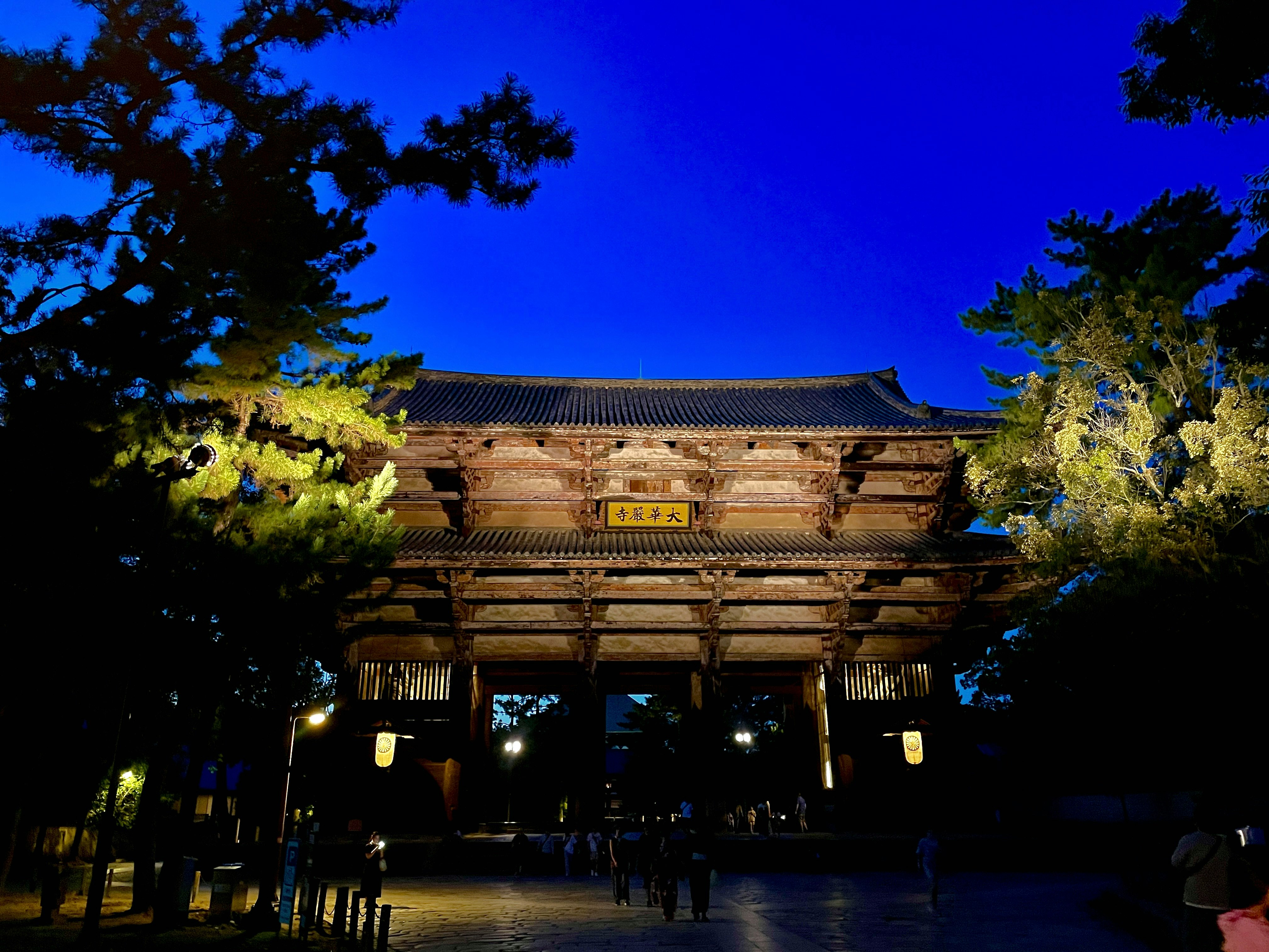東大寺の夜の大仏殿前の参道と門