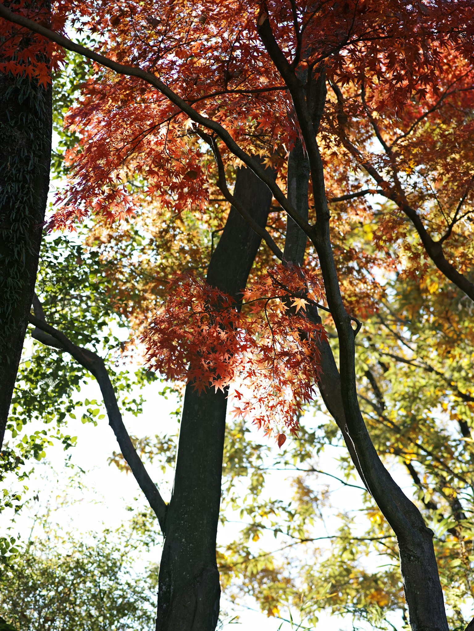 photo-YowhP9gSfpeWH2hLCm4p-image