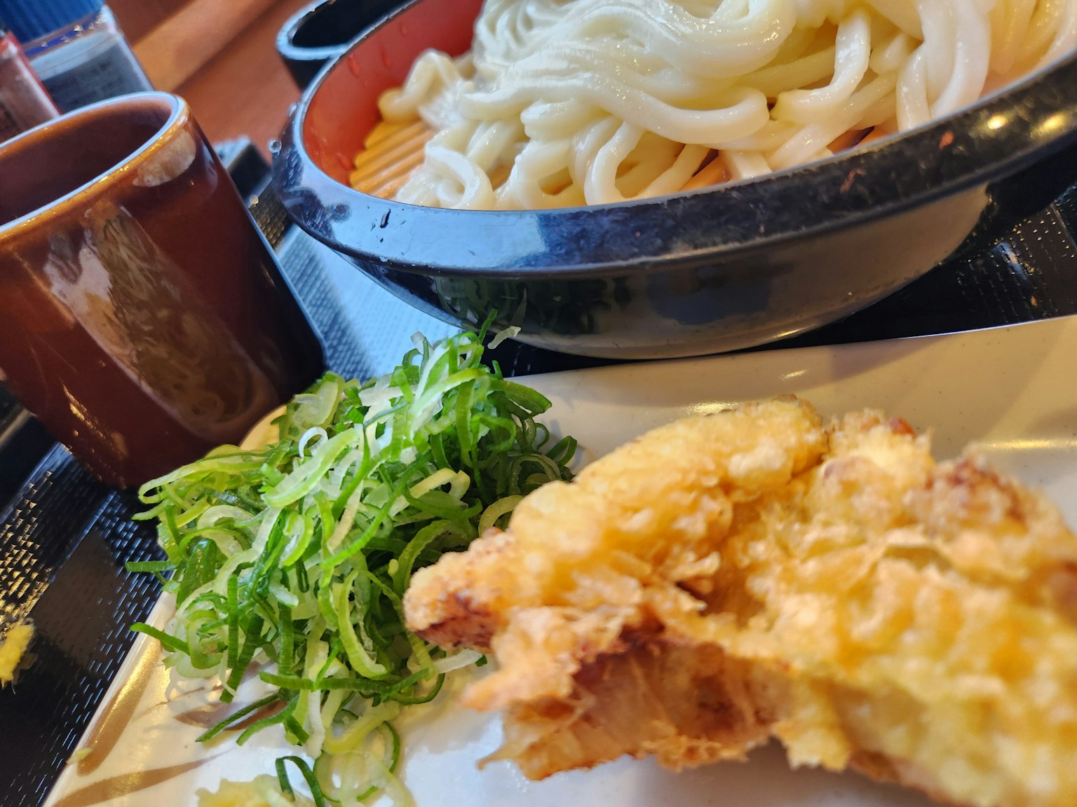 一道日本料理，包含烏冬麵、天婦羅和蔥