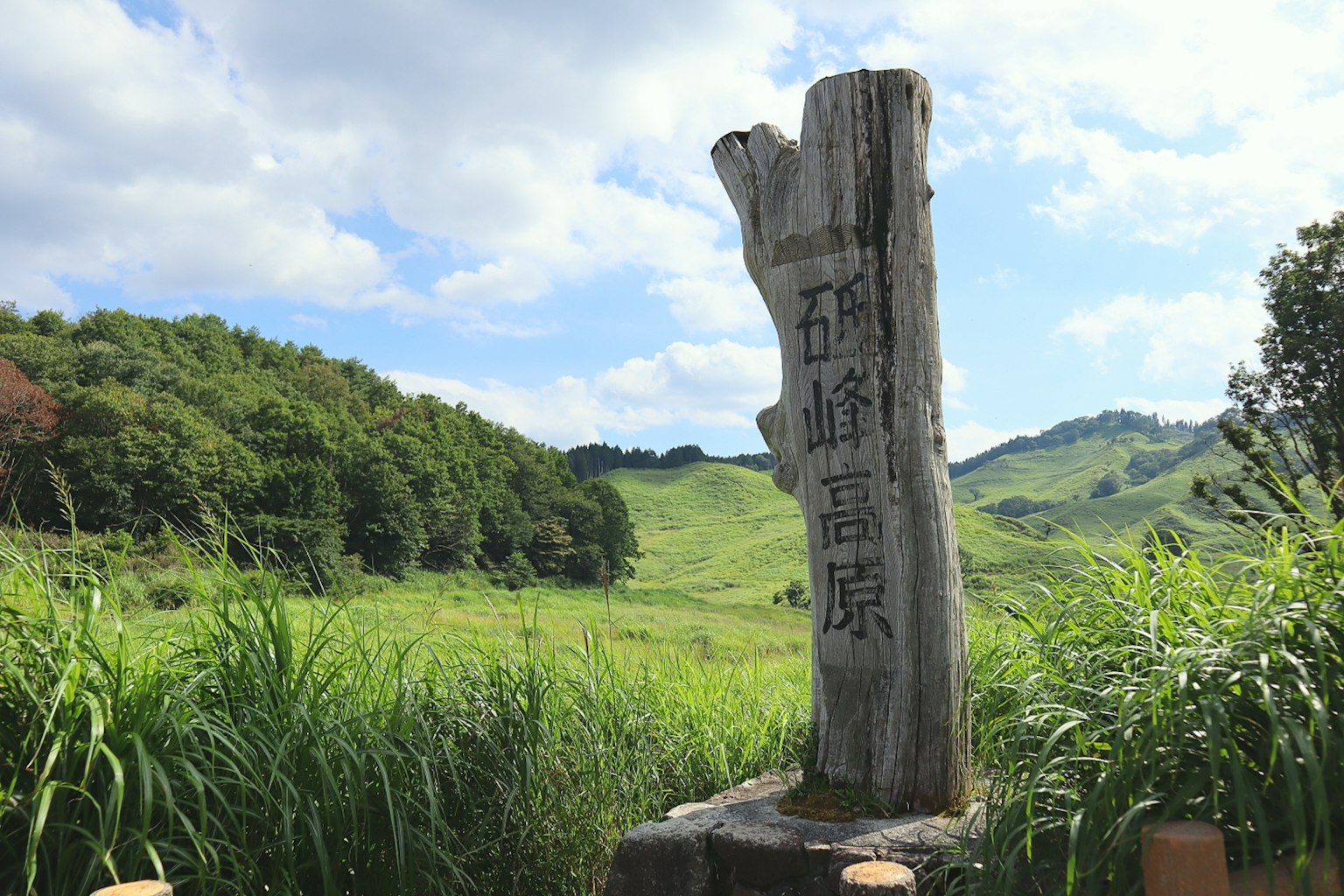 Scenic view featuring a wooden sign and lush green hills