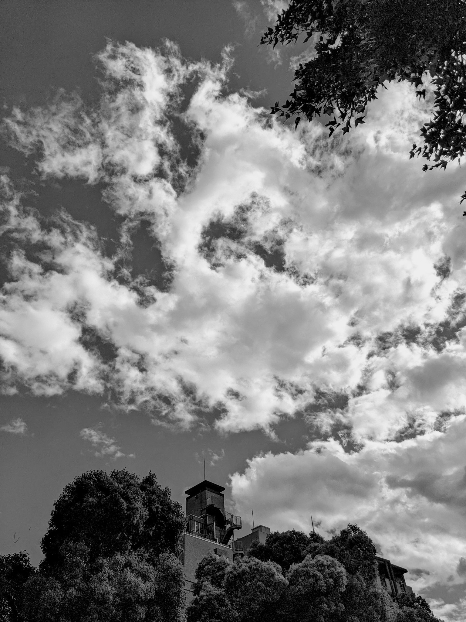 Black and white image of clouds with trees and a building below