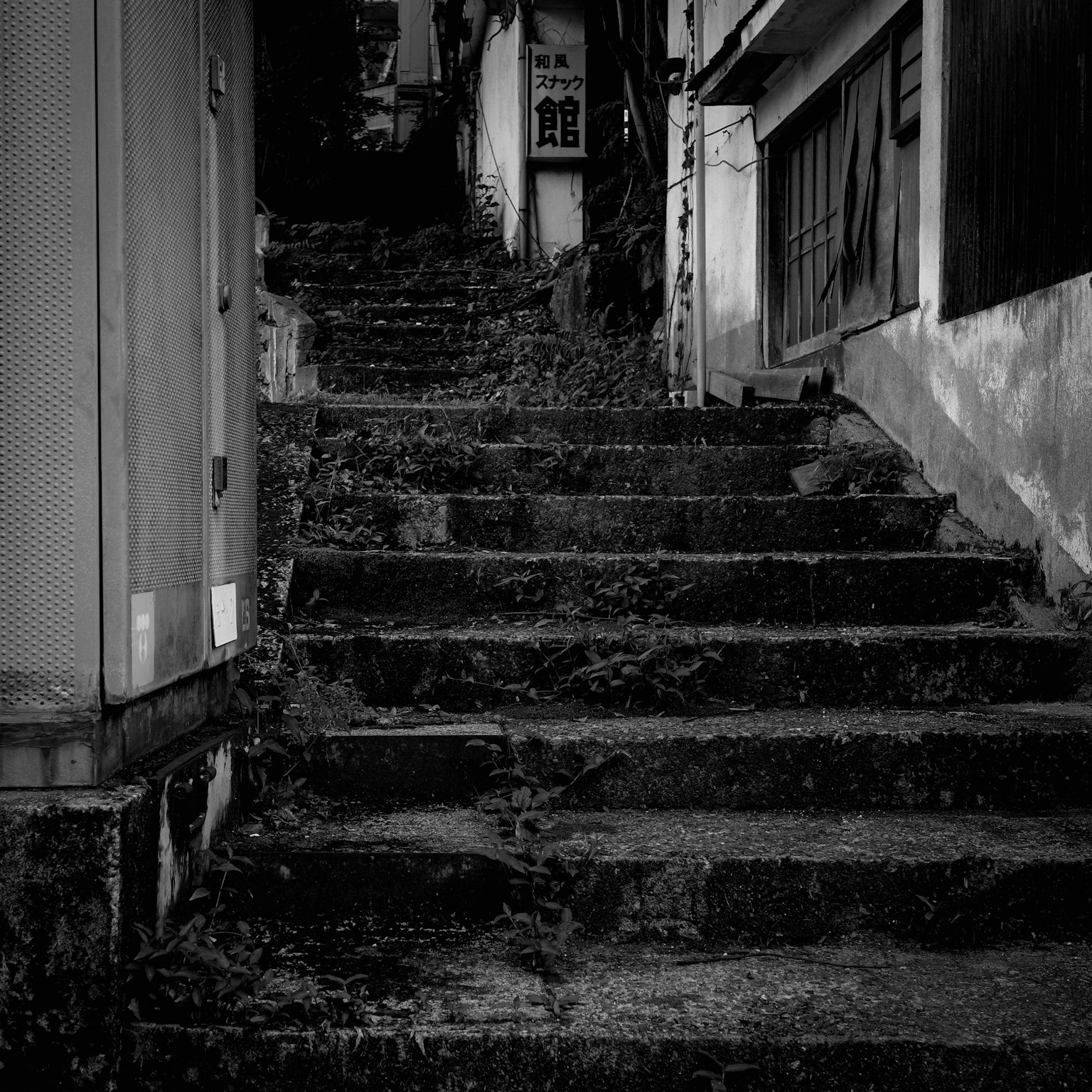 Anciennes escaliers couverts de mousse dans un cadre noir et blanc