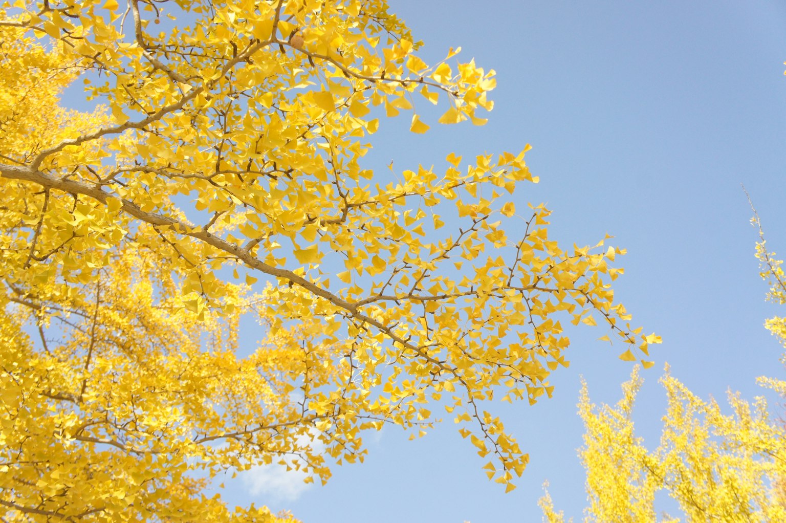 photo-Yqv4kNbmxA79Z3q40Kn9-image