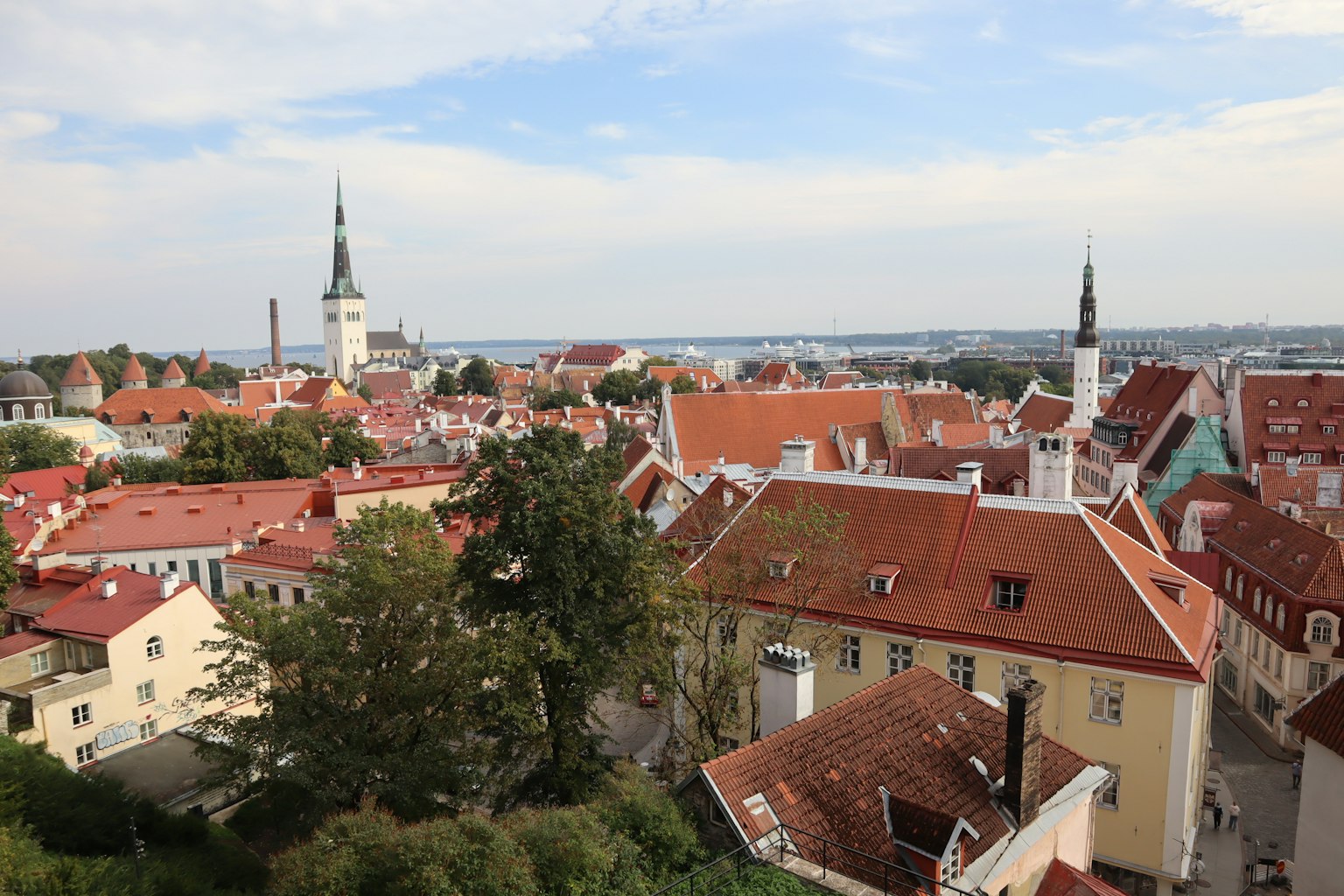Blick auf die Dächer und Türme der Altstadt von Tallinn