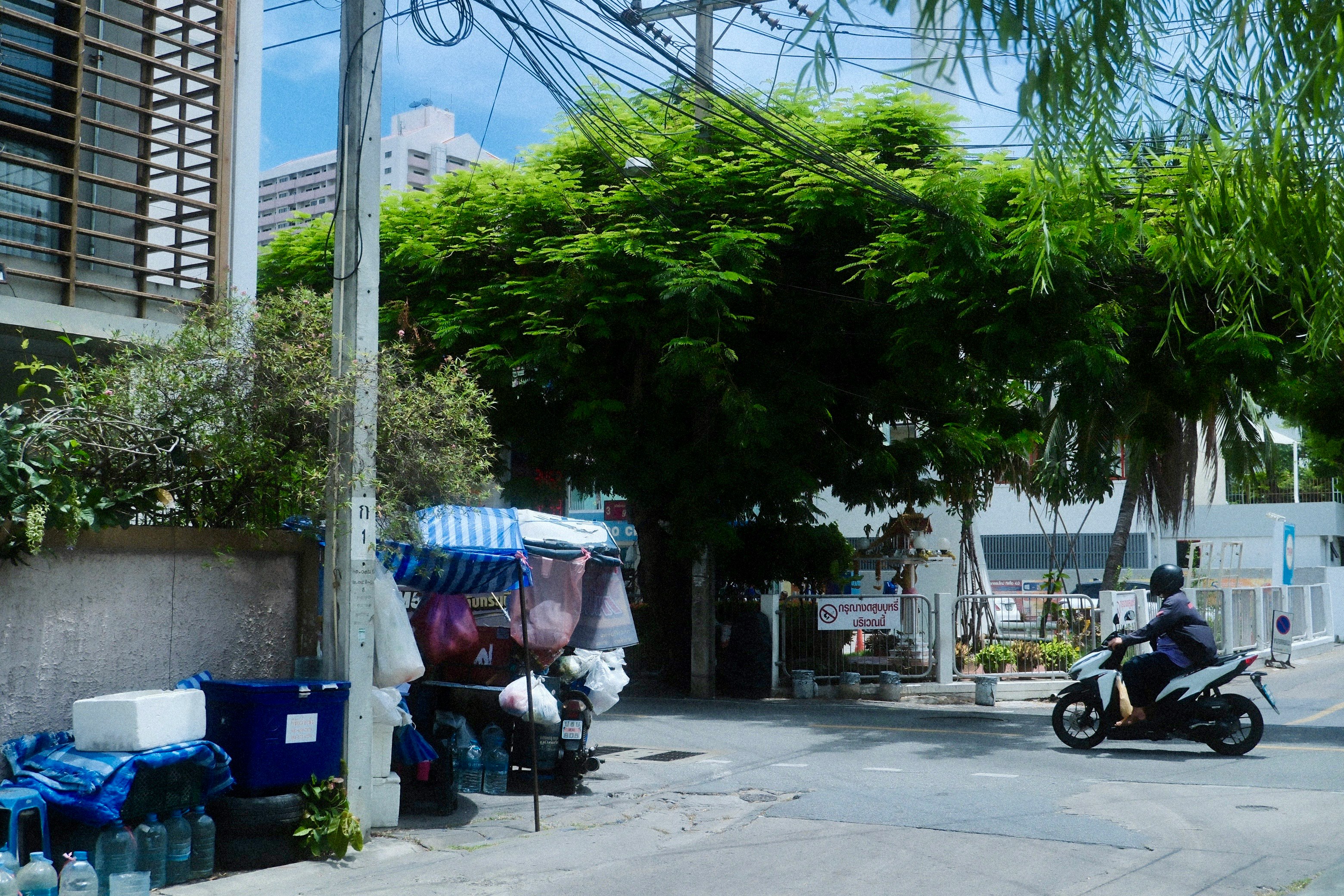 緑の植栽に囲まれた路地のような屋外通路