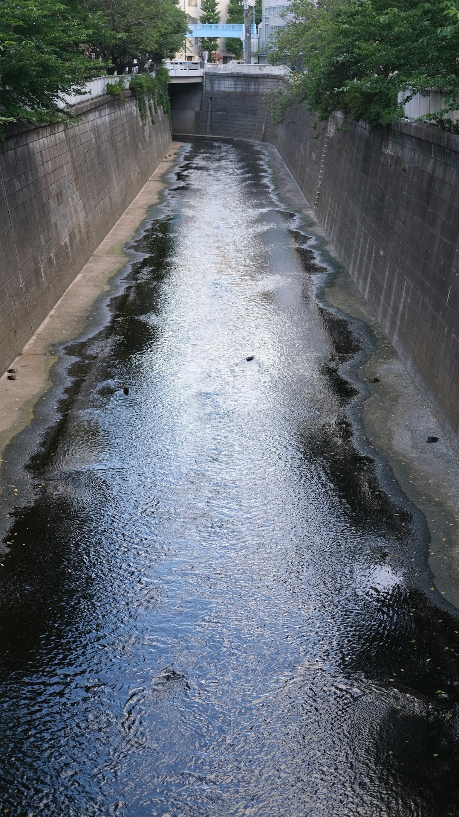 流れる水とコンクリートの壁がある空の水路