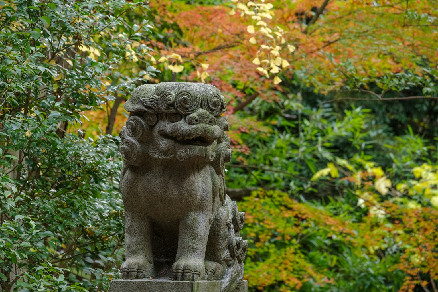 石狮子雕像被生机勃勃的绿色和红色树叶环绕