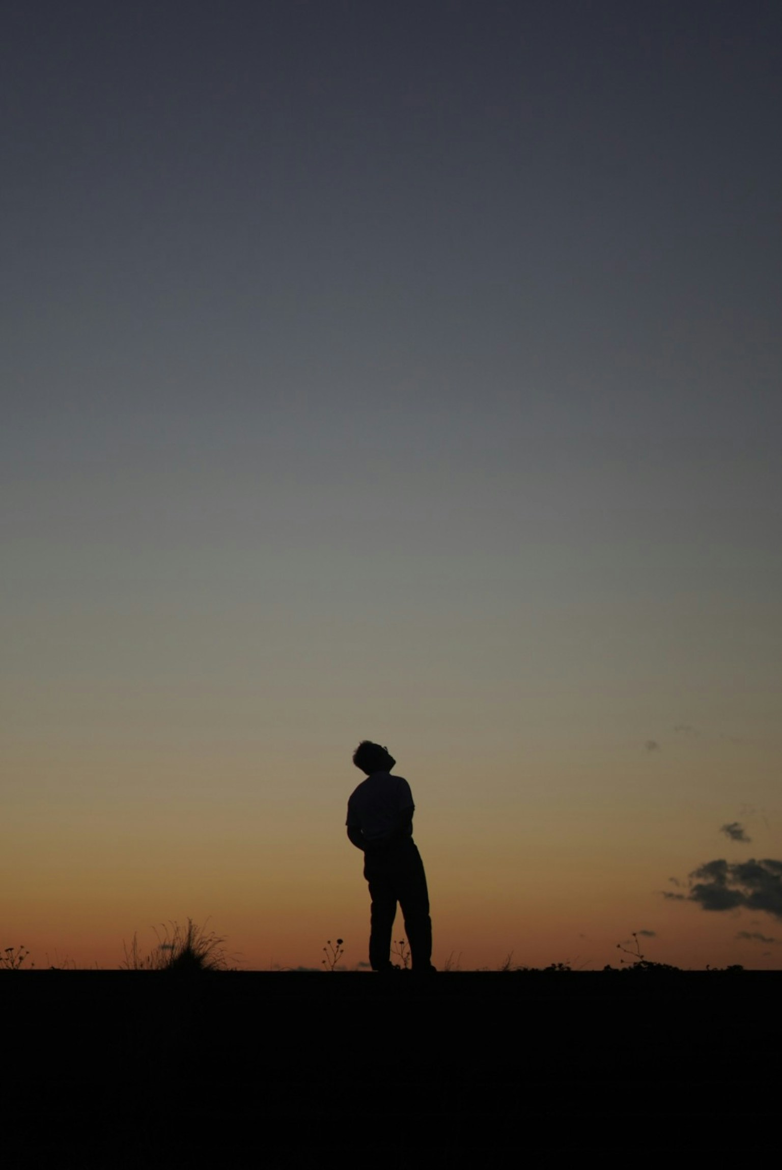 photo-YrNLvg1qjXdLvJhybSSN-image