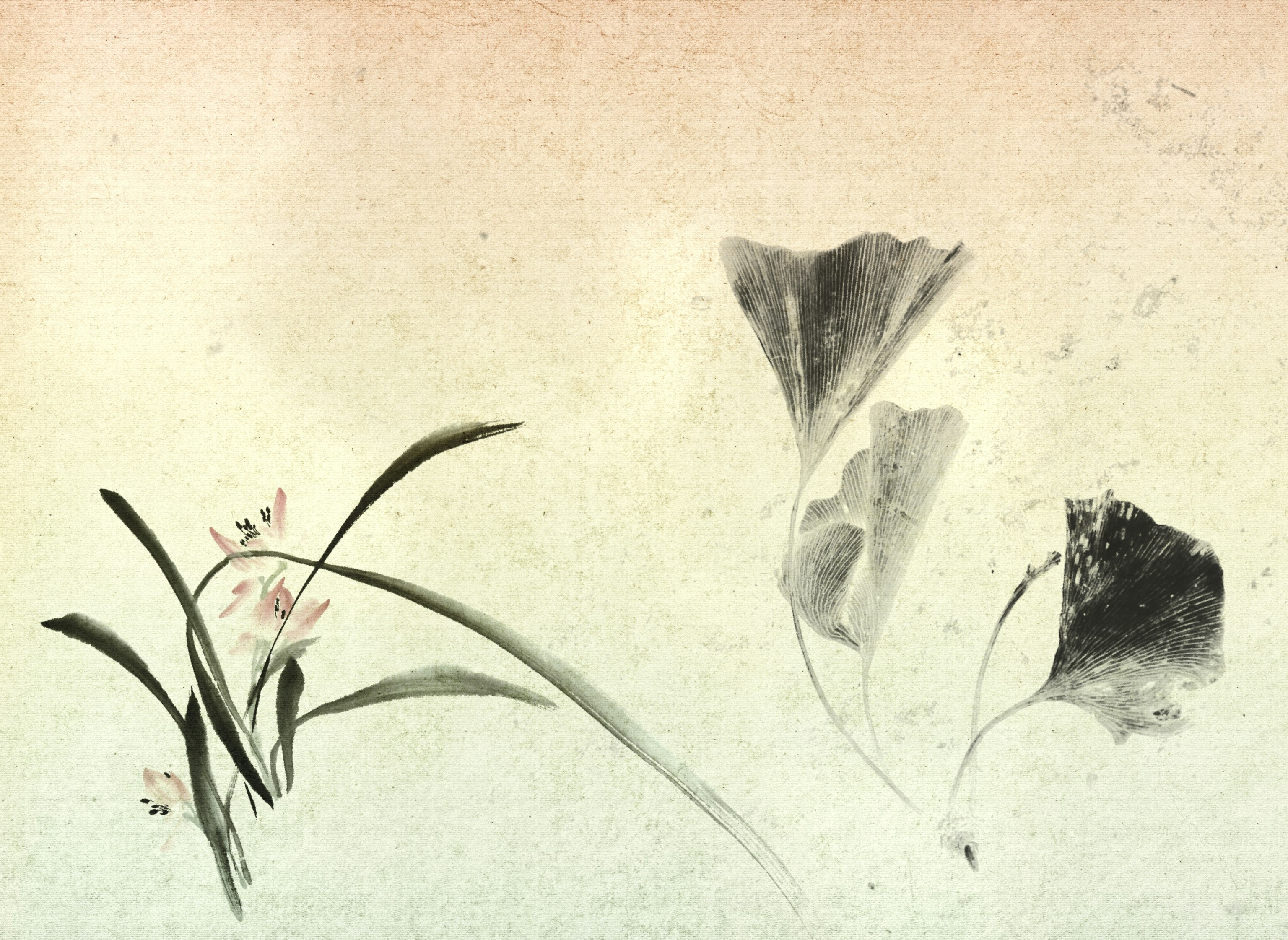 抽象的な花と蝶のような形のコラージュ