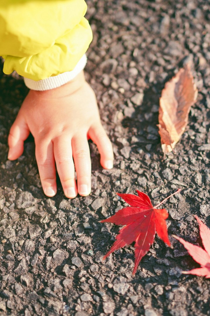 A child’s hand touching autumn fallen leaves on the ground