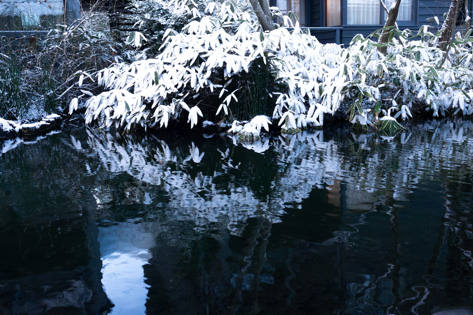 Árboles cubiertos de nieve y su reflejo en una superficie de agua tranquila