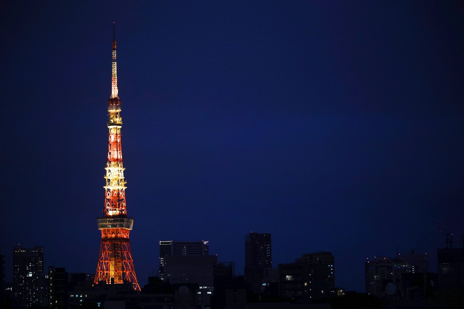 東京塔在黑暗的天空中閃耀