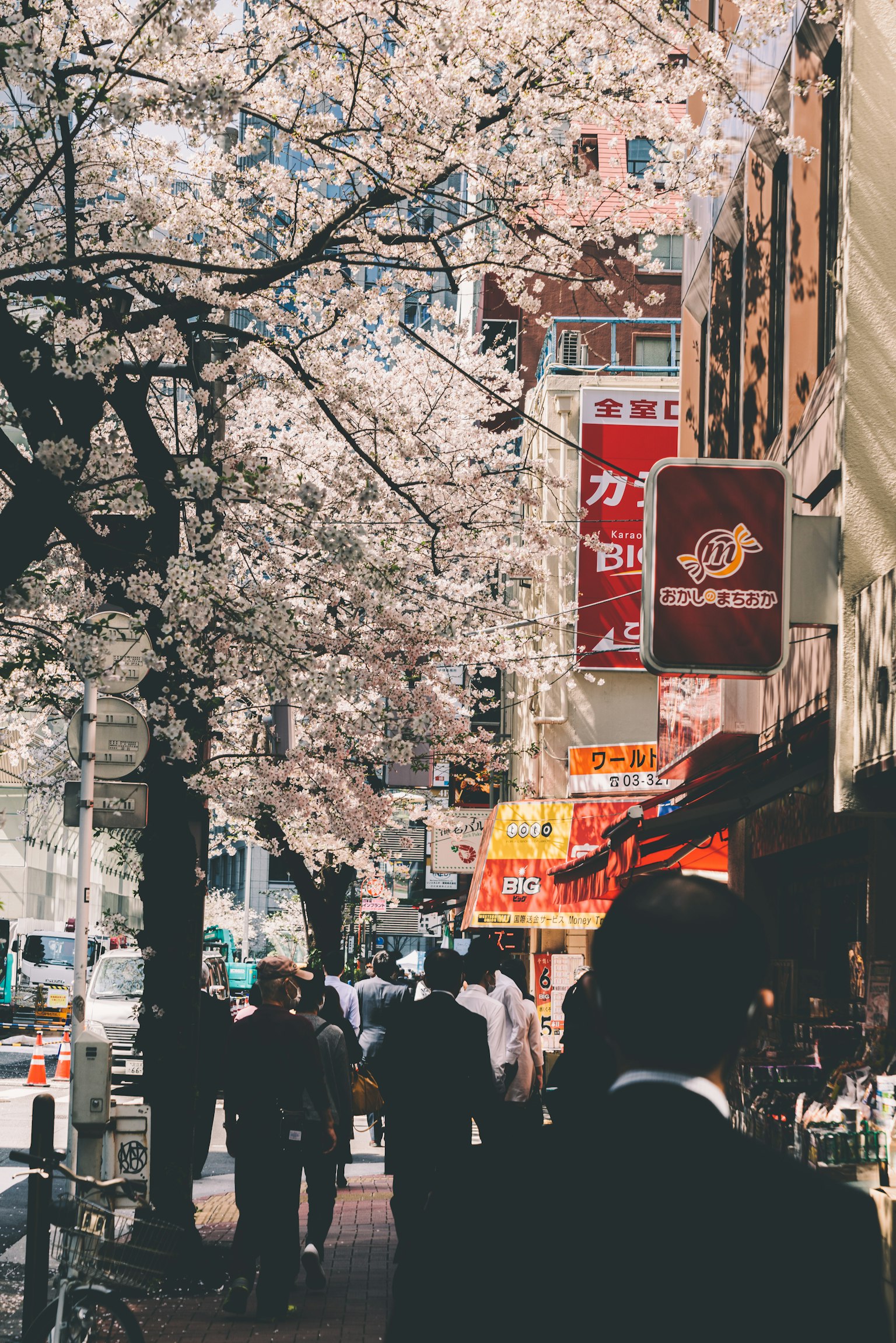 Pemandangan jalan dengan pohon sakura dan pejalan kaki