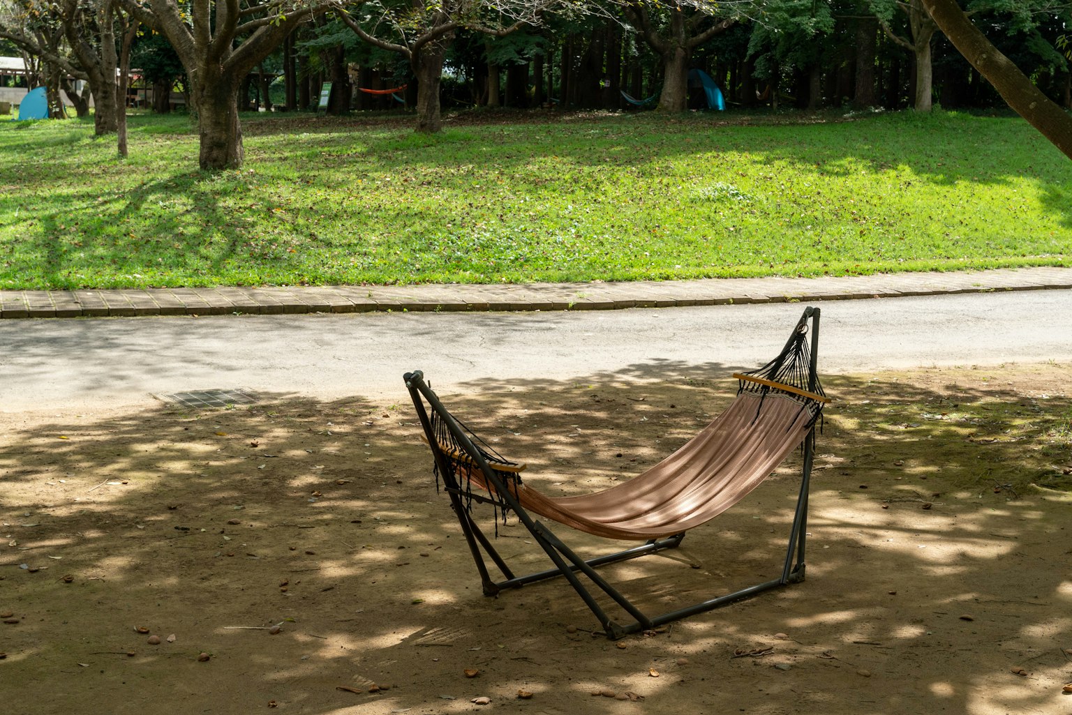 Hammock yang ditempatkan di bawah pohon di taman dengan rumput hijau