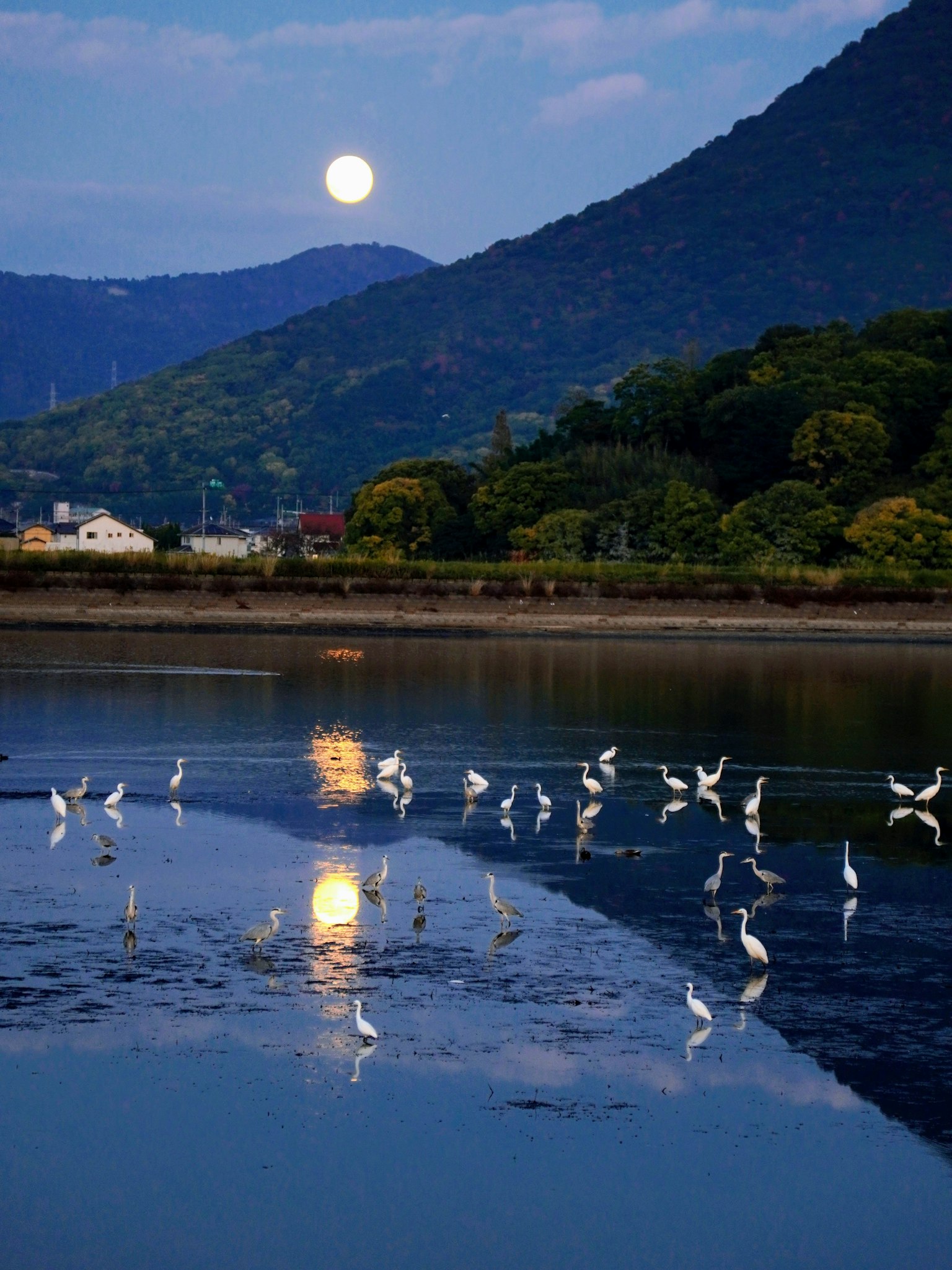 Uccelli che camminano nell'acqua che riflette la luna e le montagne