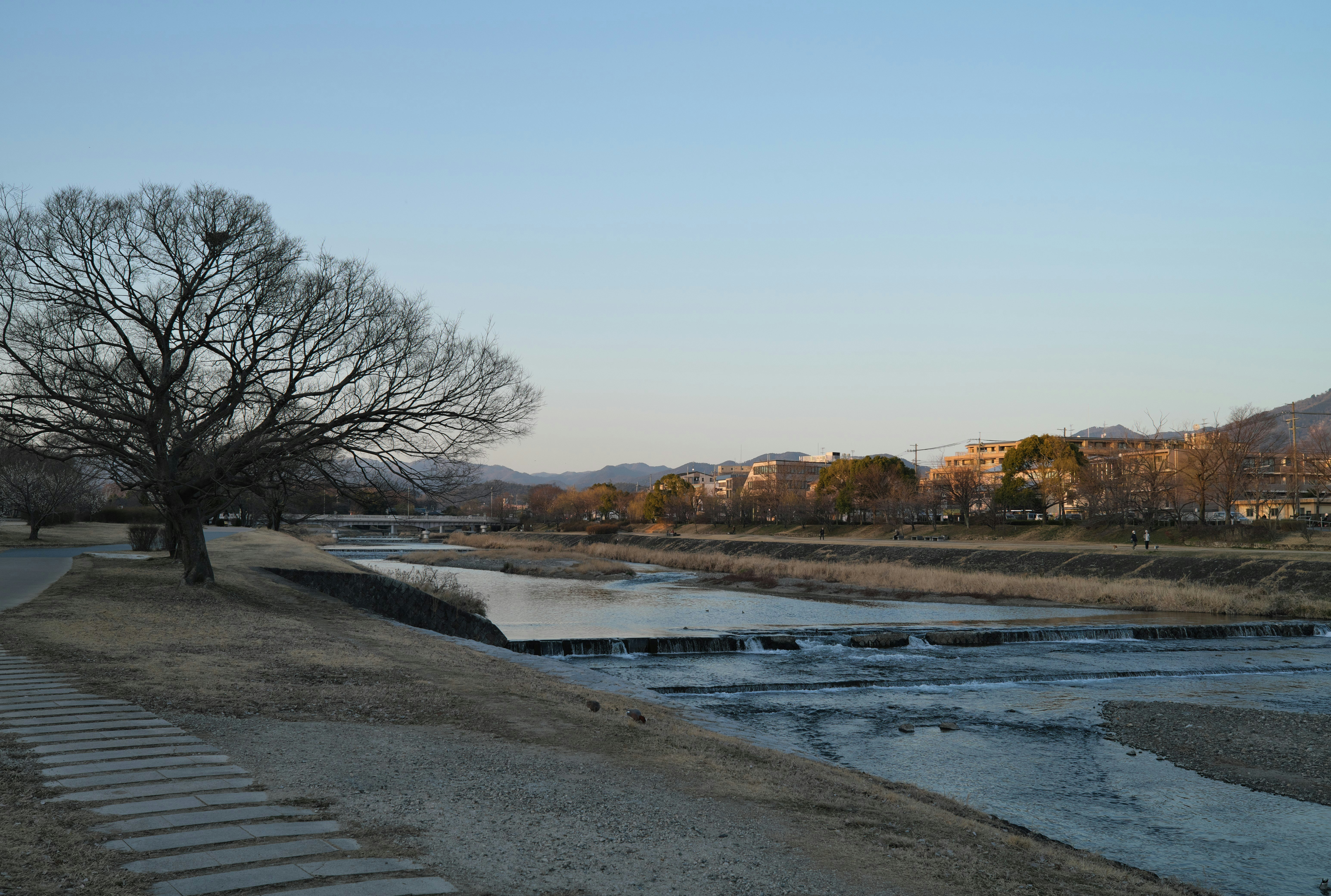 promenade au bord de la rivière et berge au crépuscule