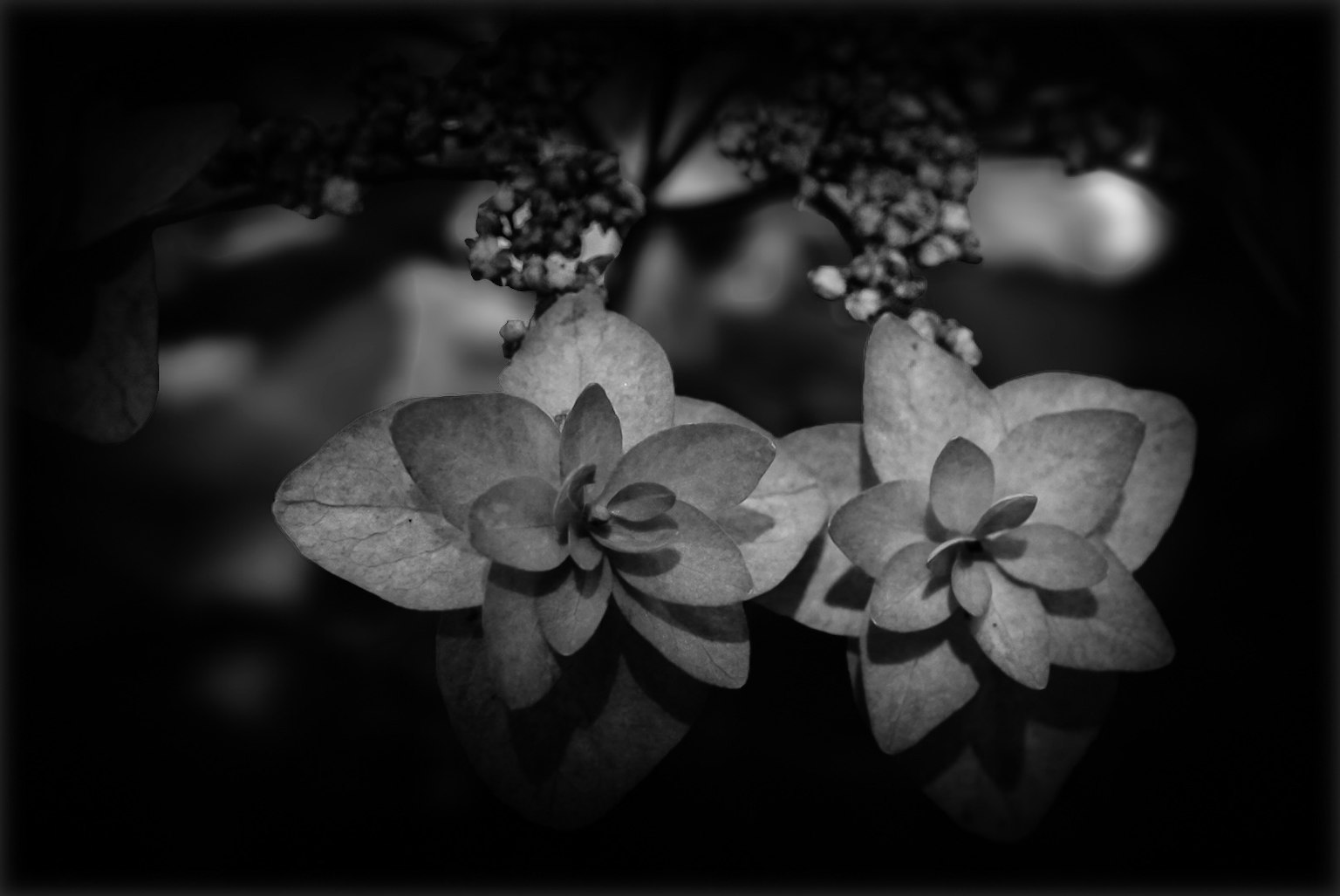 photo-YtZzSwlpTxN7BSv95Rsq-image
