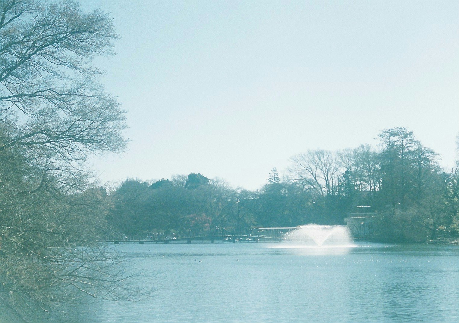 霧のかかった湖畔の静かな風景