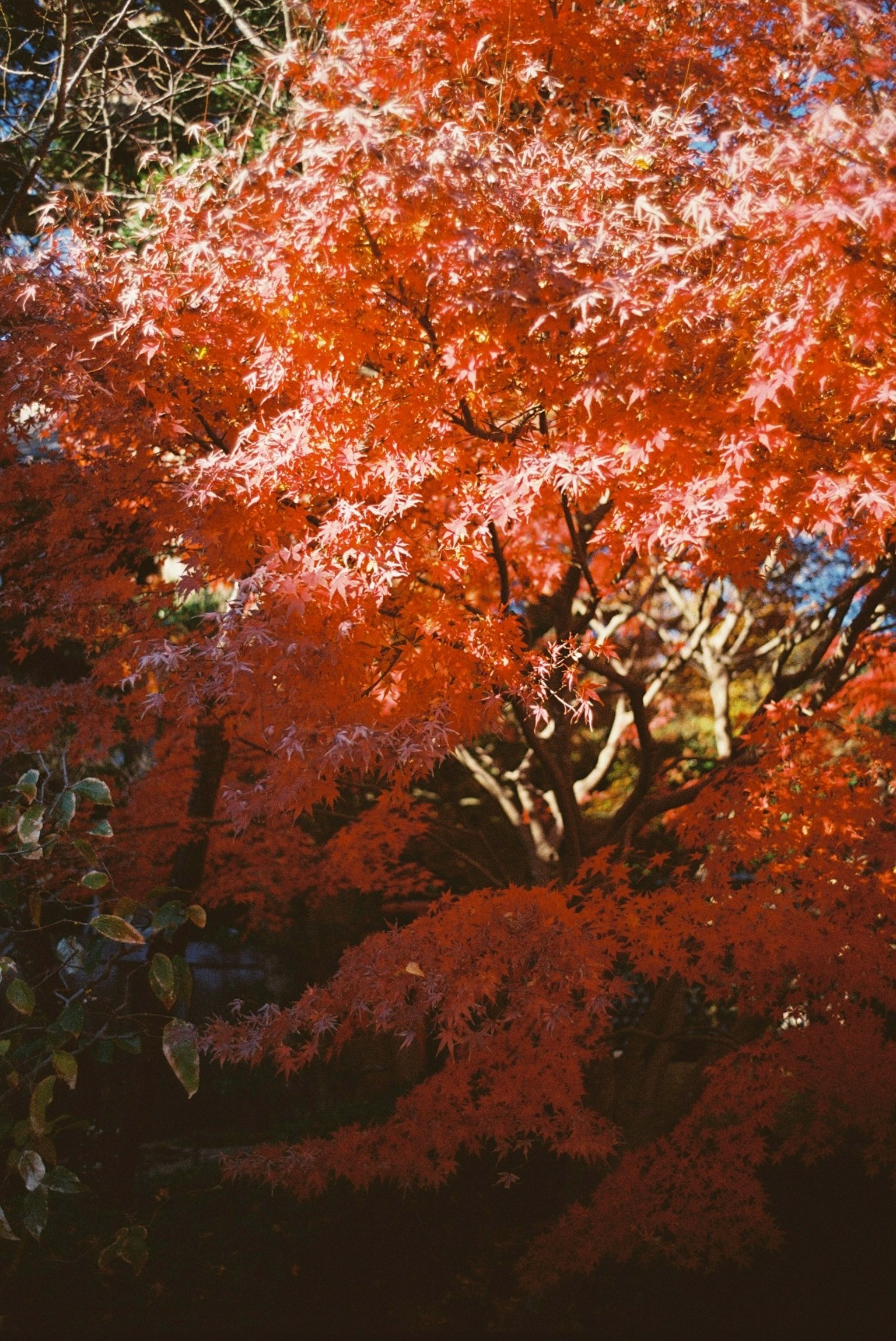 photo-Yu3aStteVSPWjKFHgbd7-image