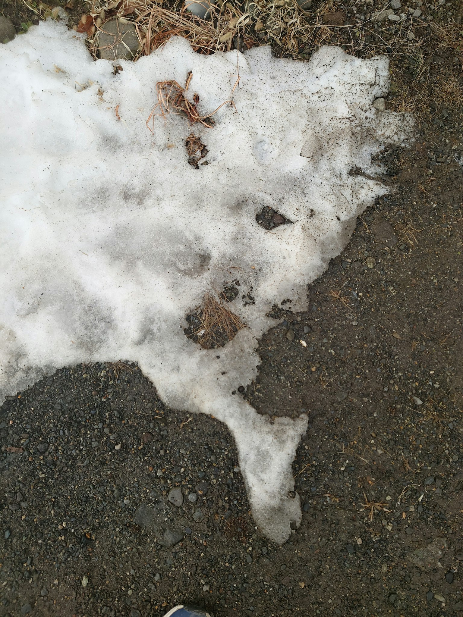 Neige fondue sur une surface gravillonnée avec des feuilles brunes
