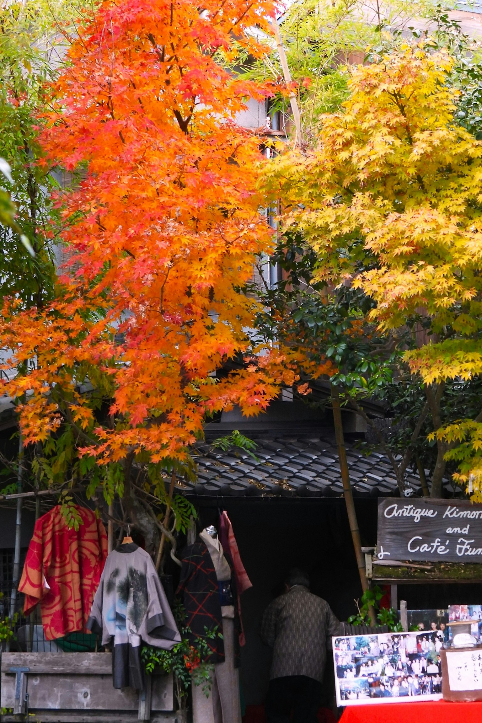 秋の色づいた木々がある小道の入り口にある店舗の外観