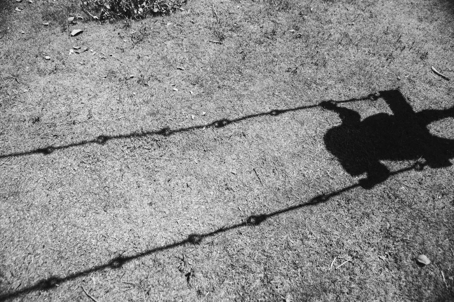 Shadow of a swing set chain on grass