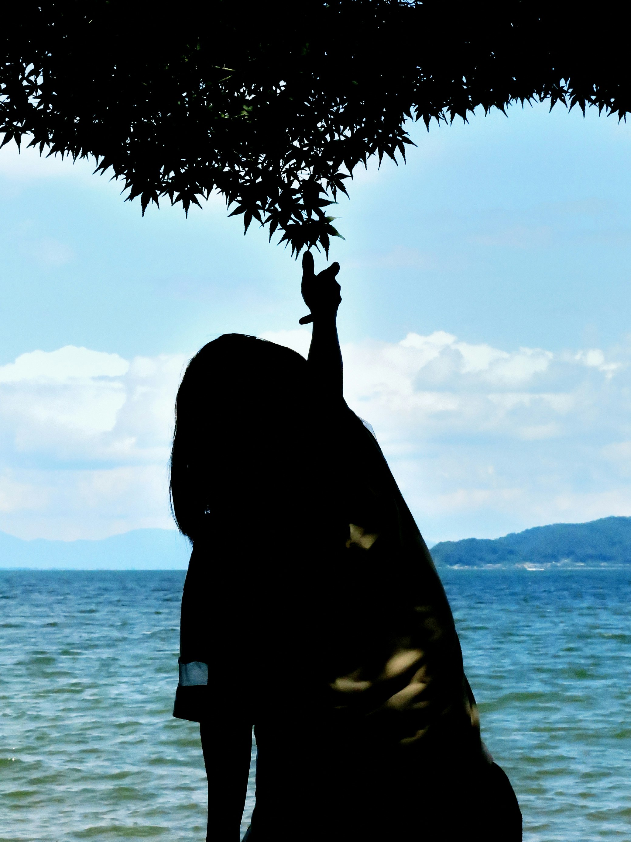 海辺で木の葉の影の下に立つ人物のシルエット