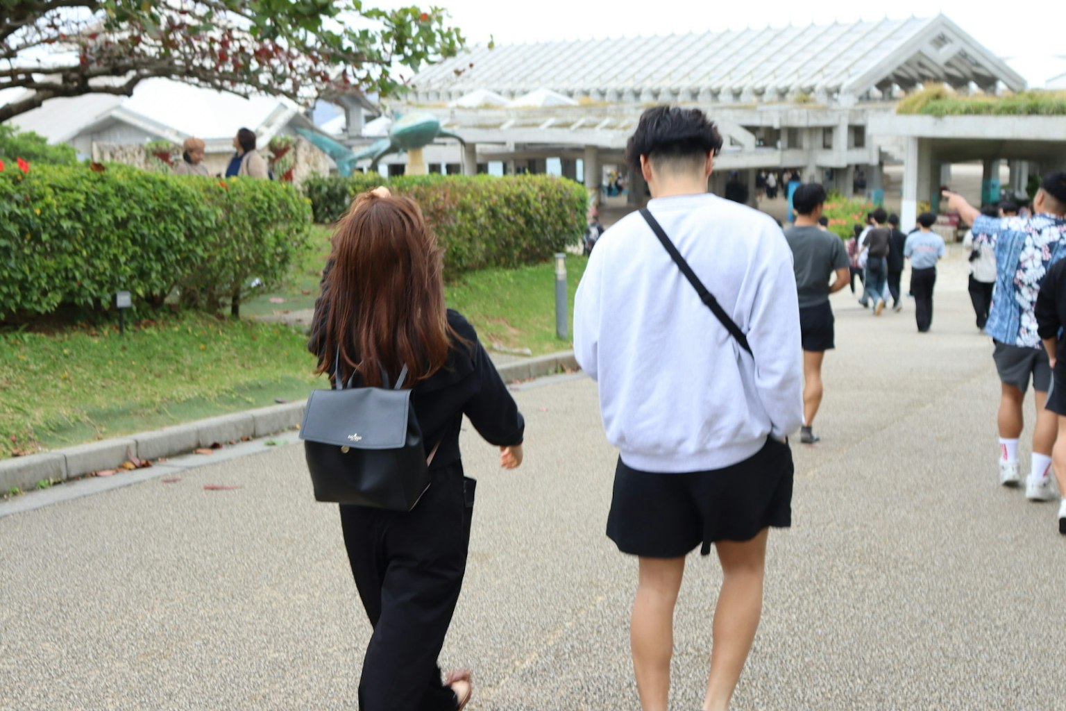 A scene of two people walking from behind One is wearing black clothing with a small backpack and the other is in a white sweatshirt and shorts