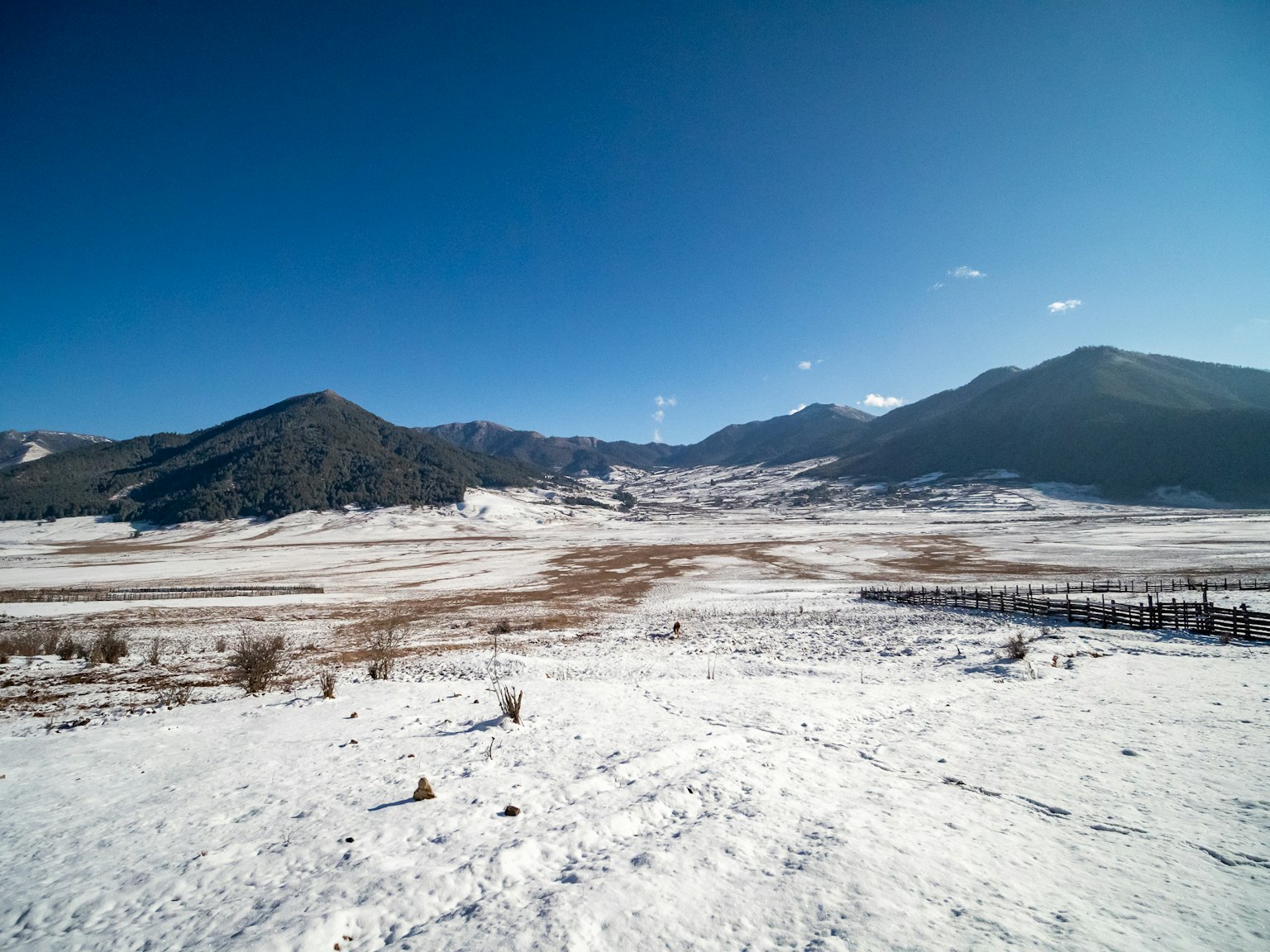 廣闊的雪景與藍天下的山脈