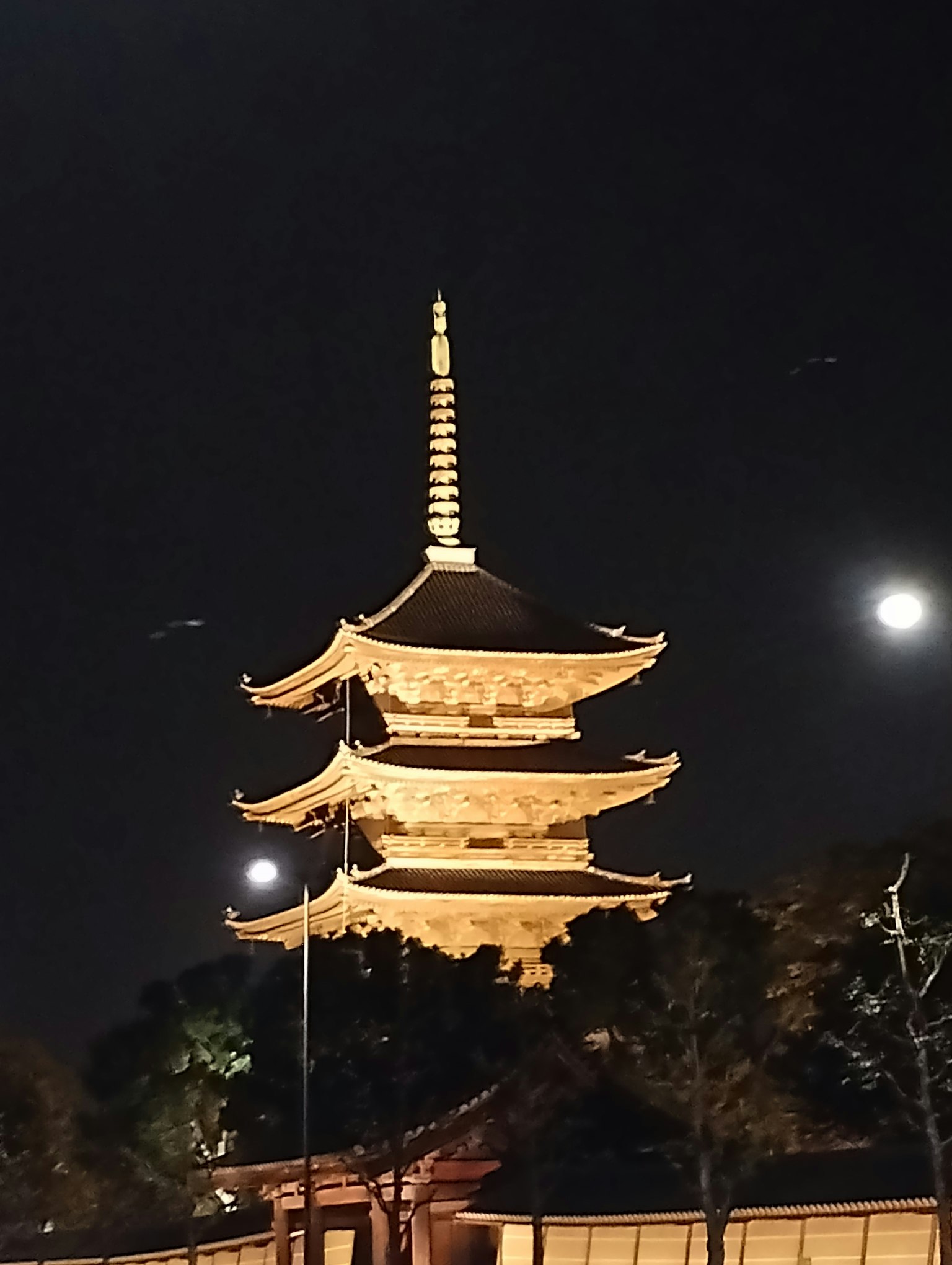 Beautiful pagoda illuminated at night against the sky