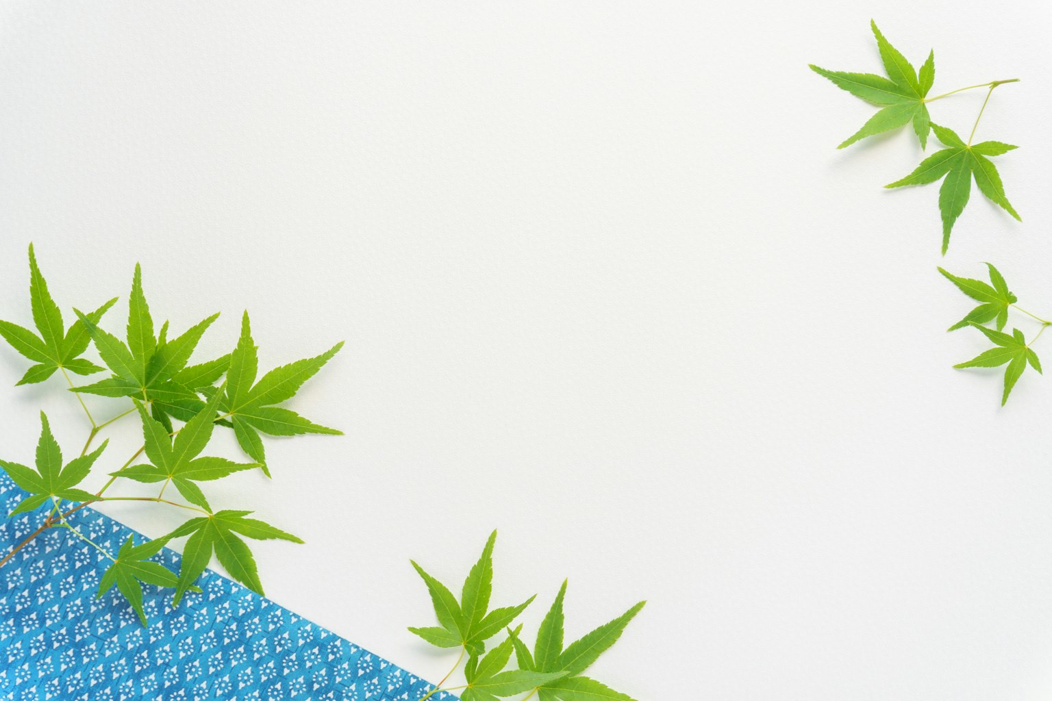 Design simple avec des feuilles vertes sur un fond blanc