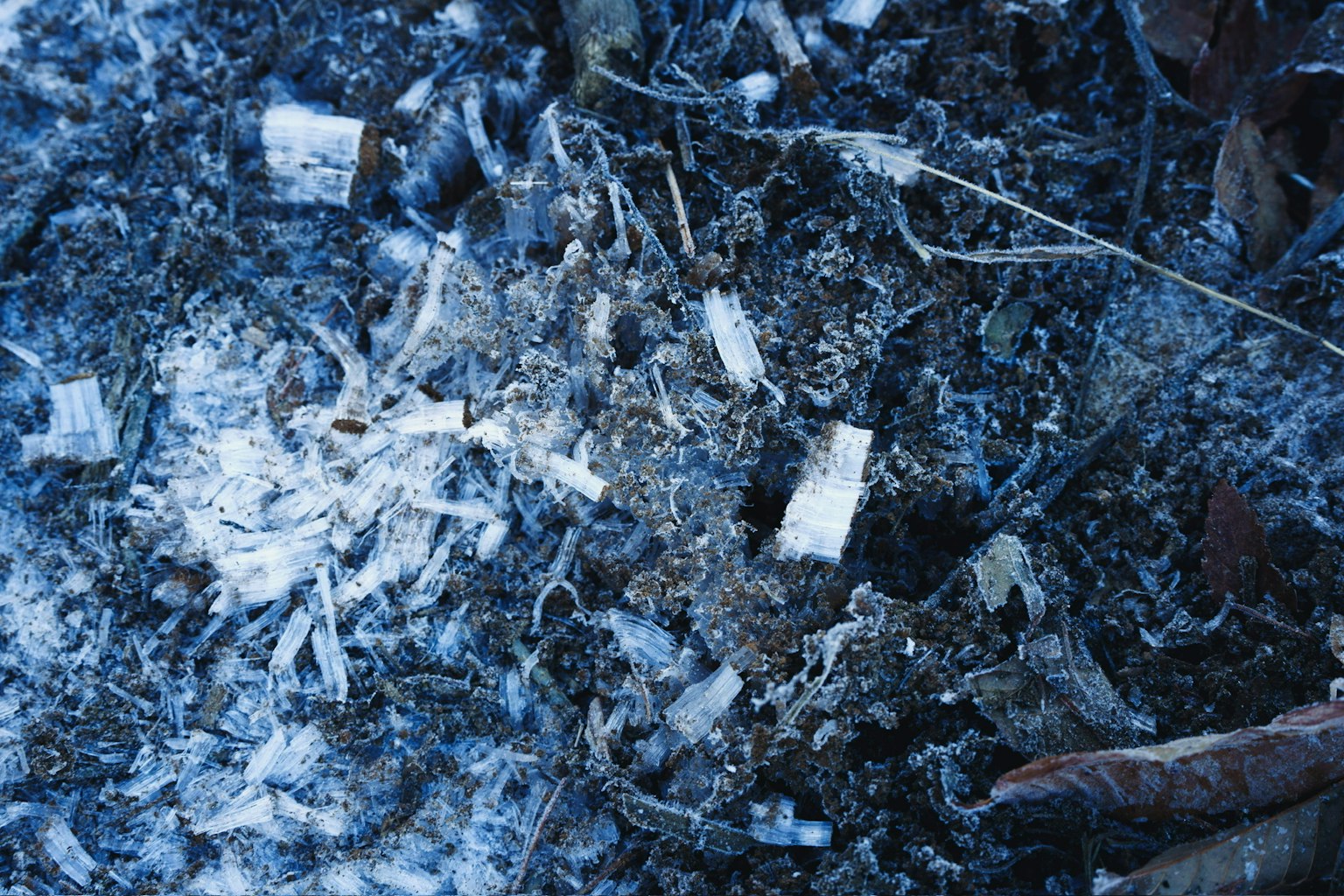 Close-up of ground mixed with fine wood shavings and soil against a blue background