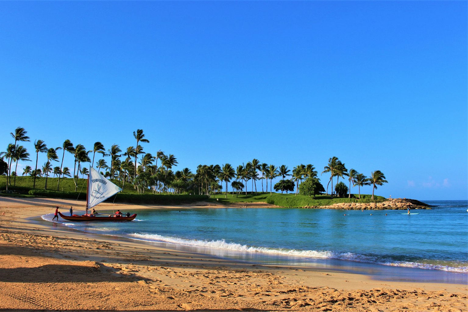 Un canoë sur une plage entourée d'eau bleue et de palmiers
