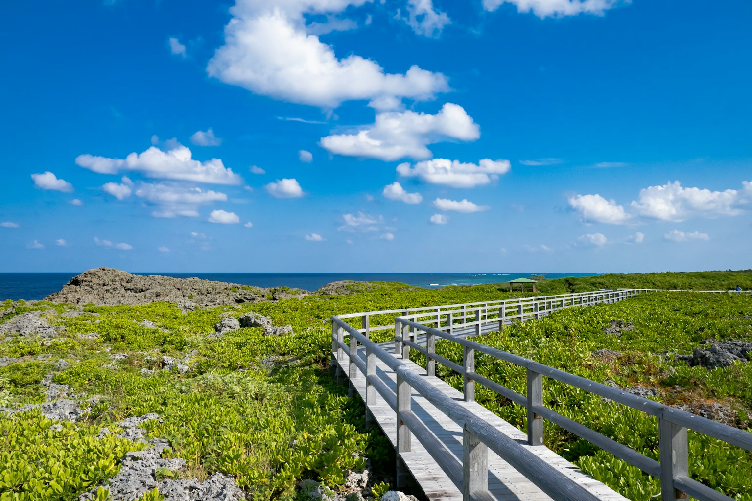 Lush green landscape with a wooden walkway under a blue sky and white clouds