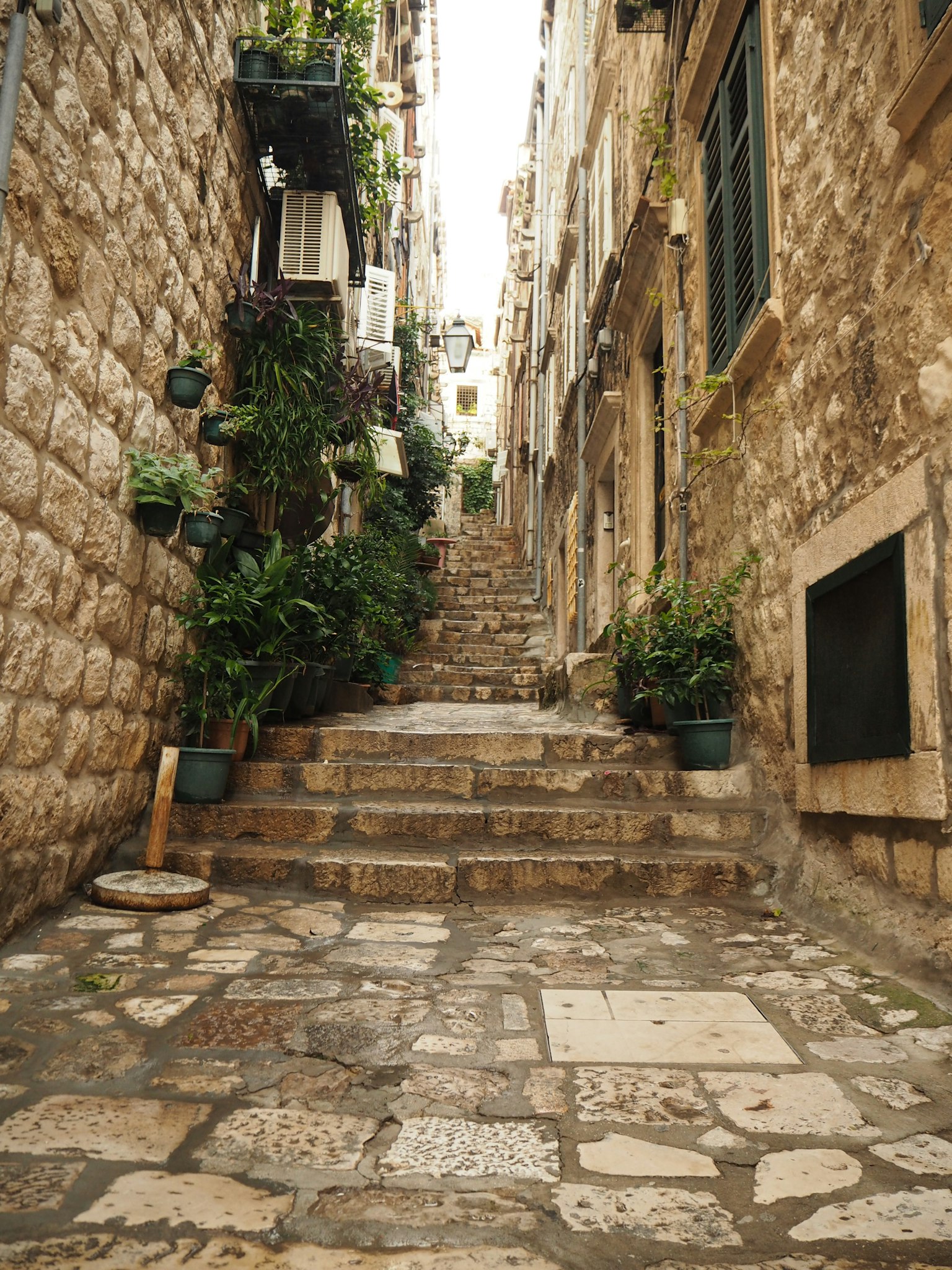 Callejón estrecho de piedra con escaleras y plantas verdes a los lados
