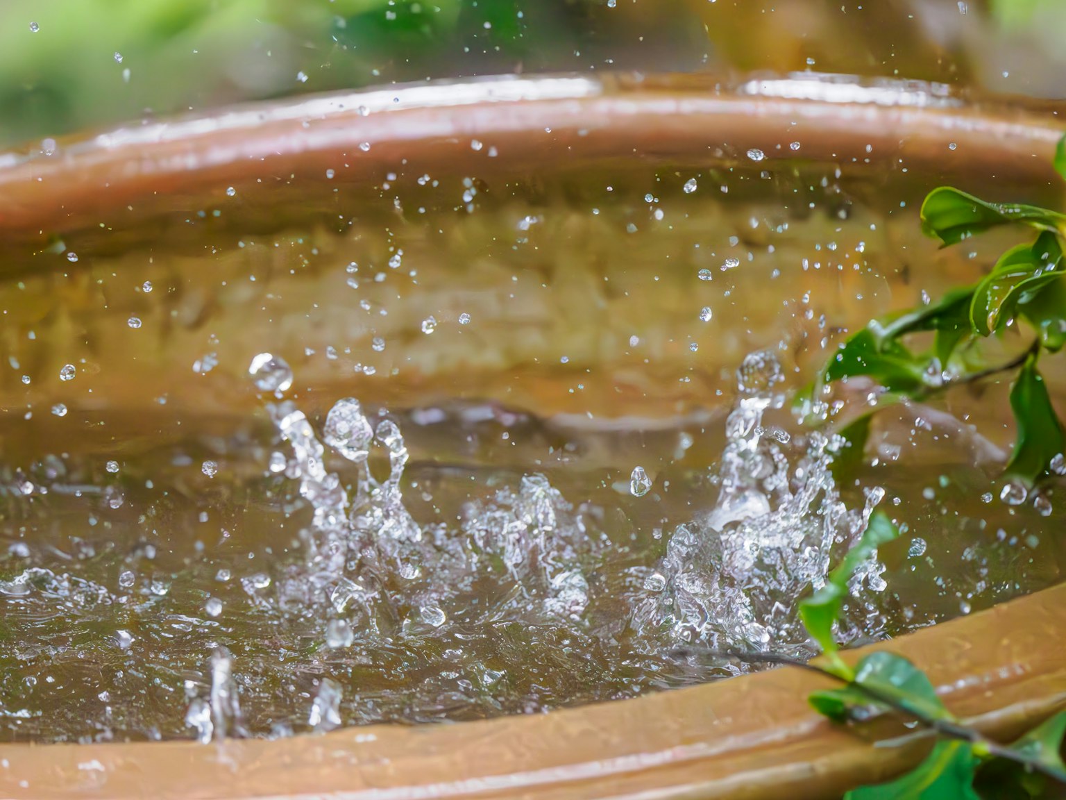 Acqua che schizza in un vaso di terracotta circondato da foglie verdi