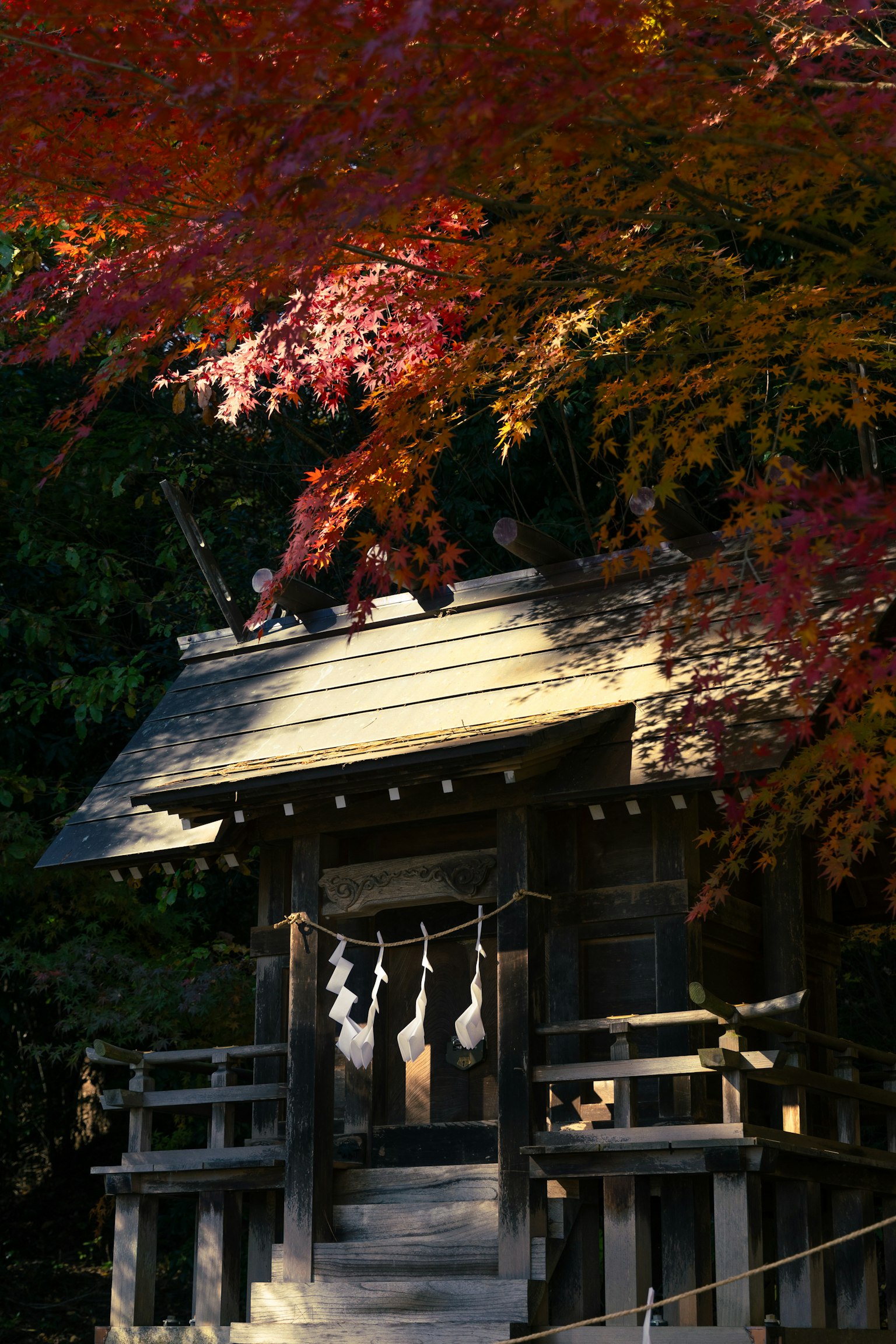 Small shrine building surrounded by autumn leaves