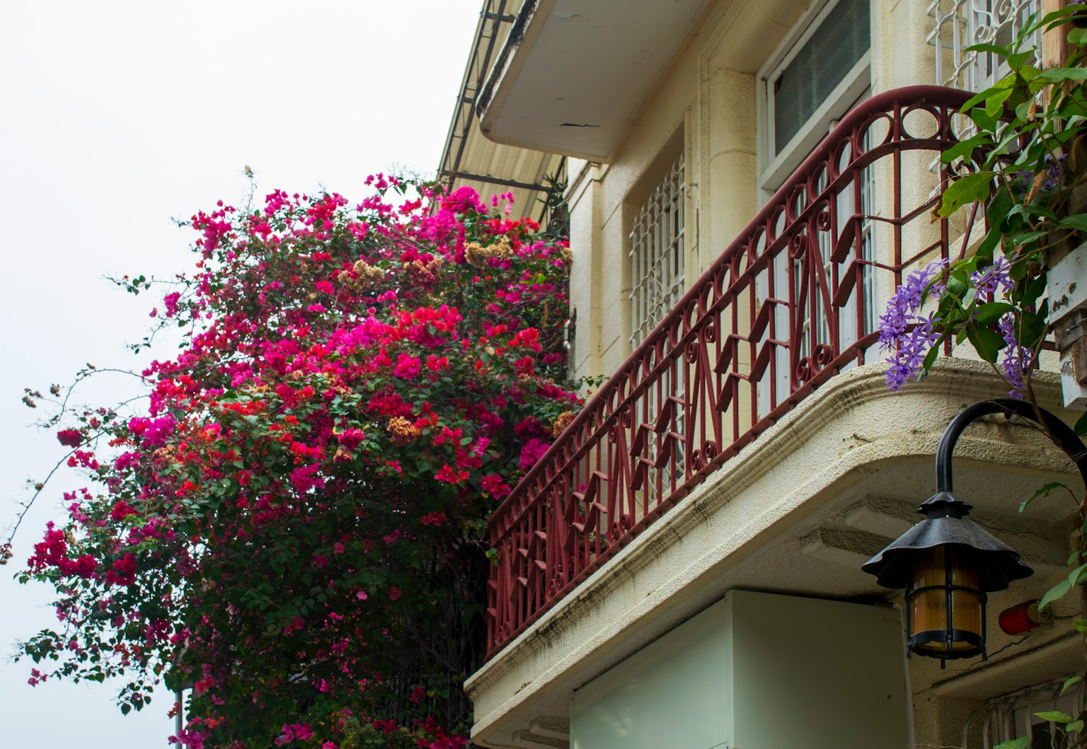 Cảnh đẹp của hoa giấy rực rỡ và hoa tím trên ban công