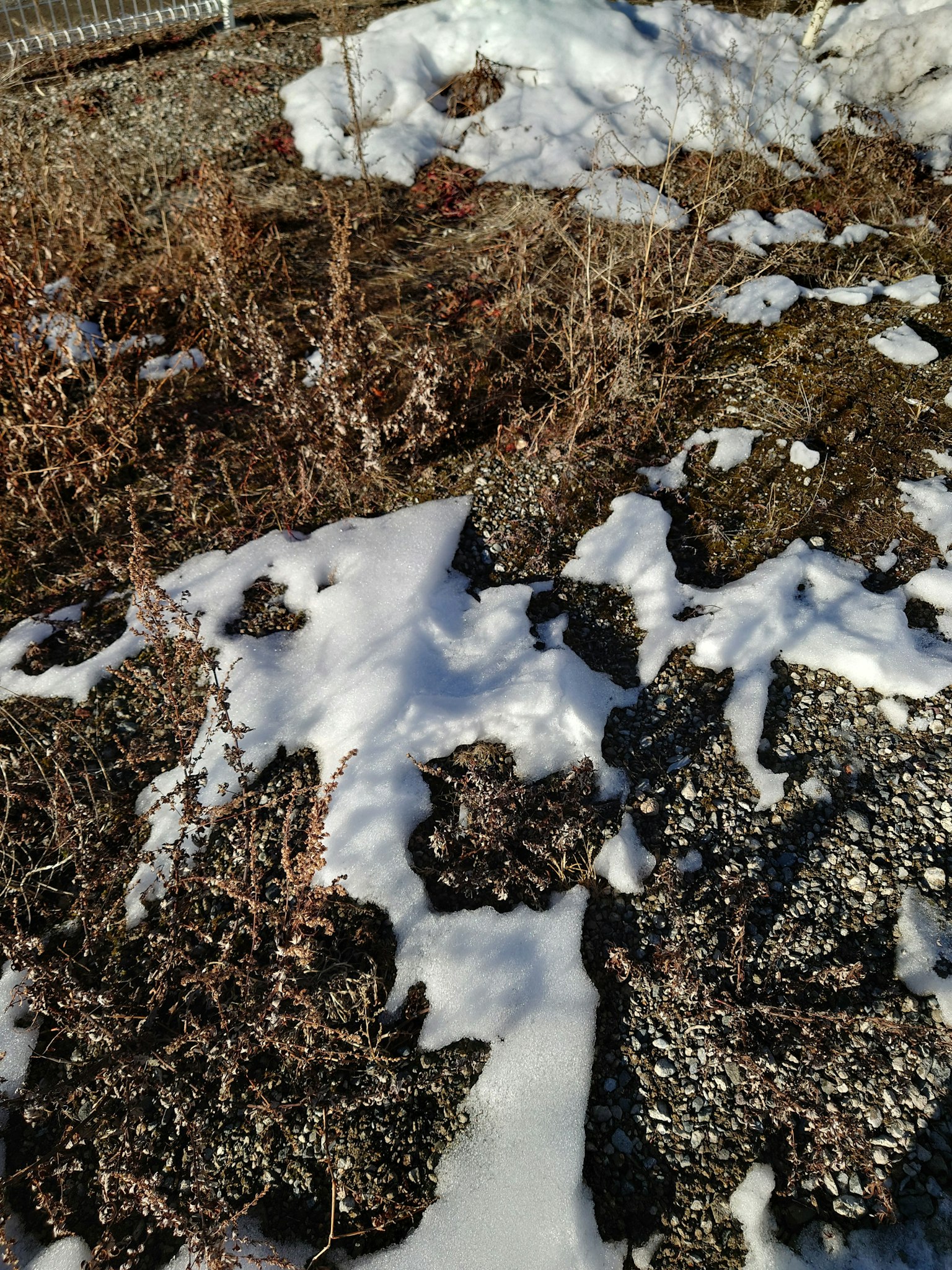 Paysage avec des taches de neige et d'herbe sèche