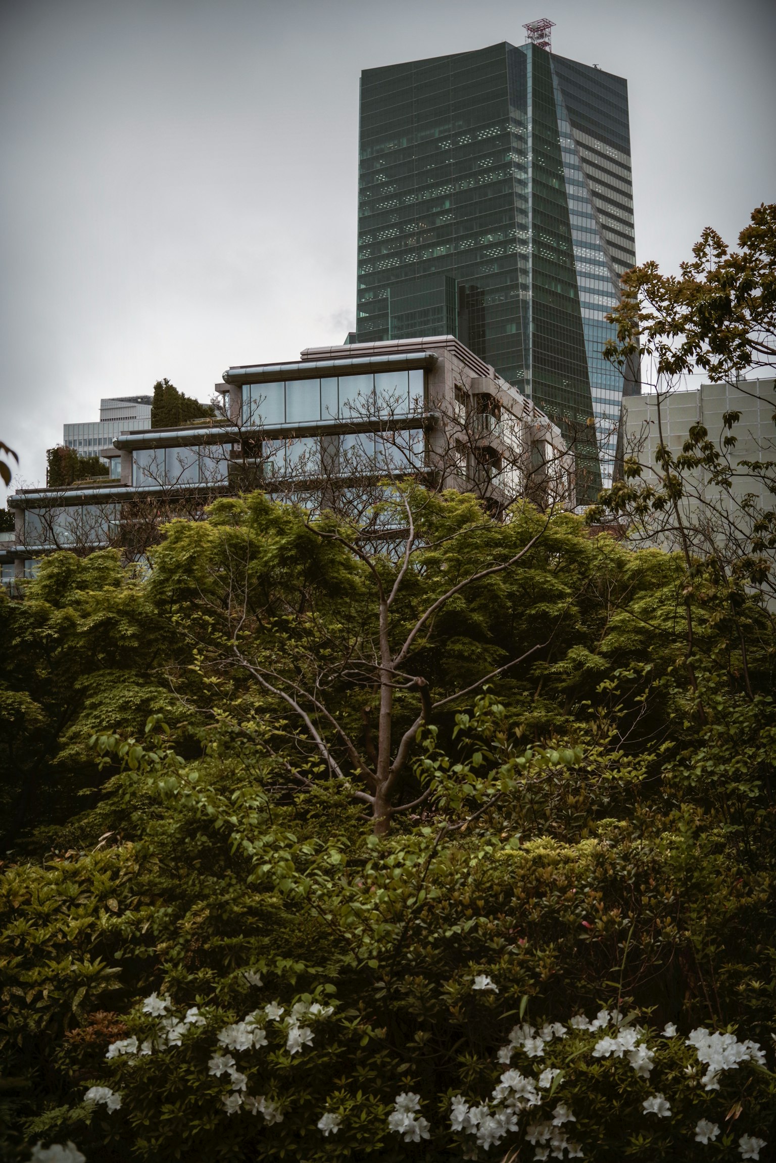 Un grattacielo che svetta tra la vegetazione lussureggiante e edifici moderni