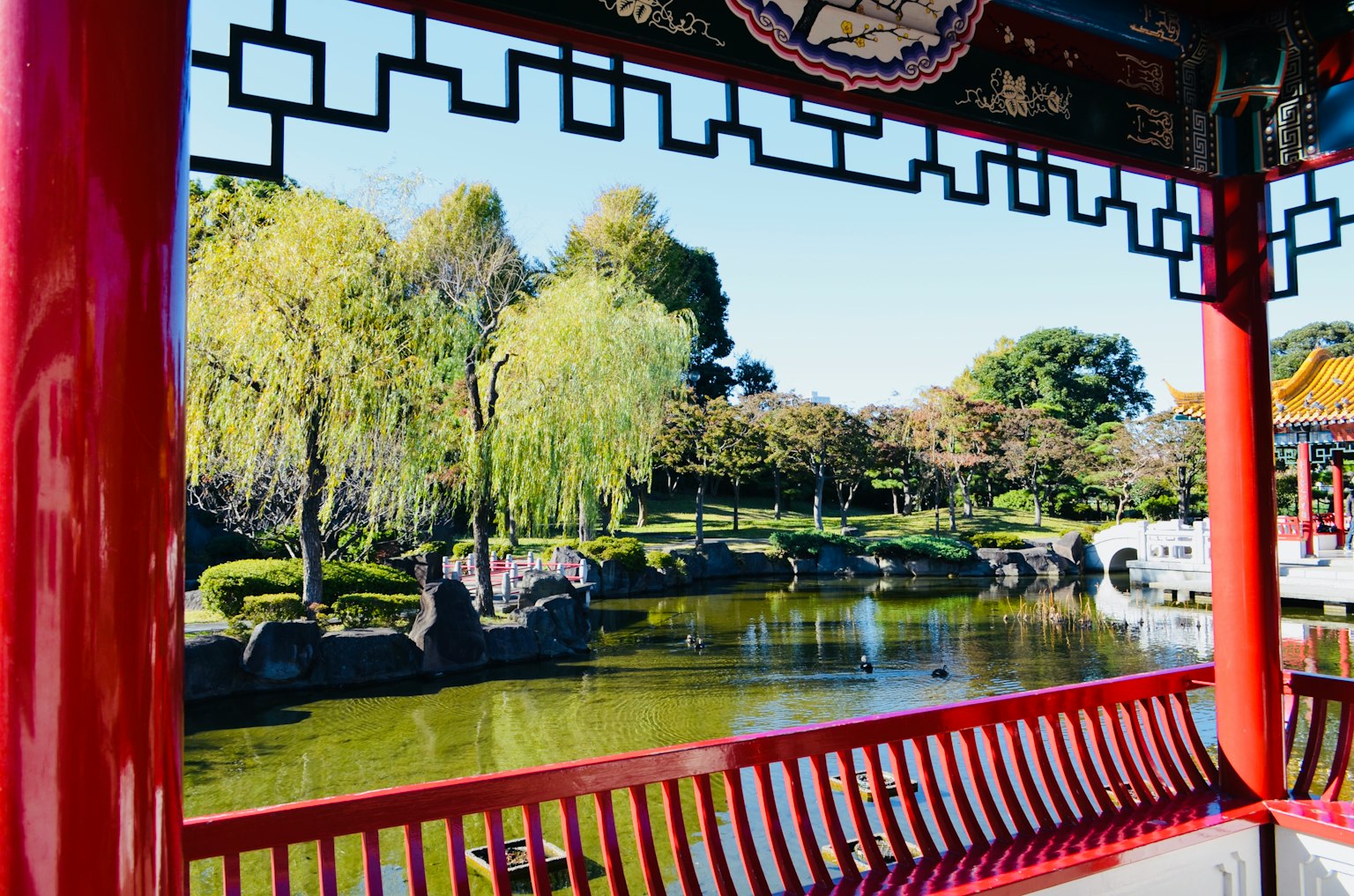 Pemandangan indah taman Jepang dengan pilar merah willow hijau dan kolam