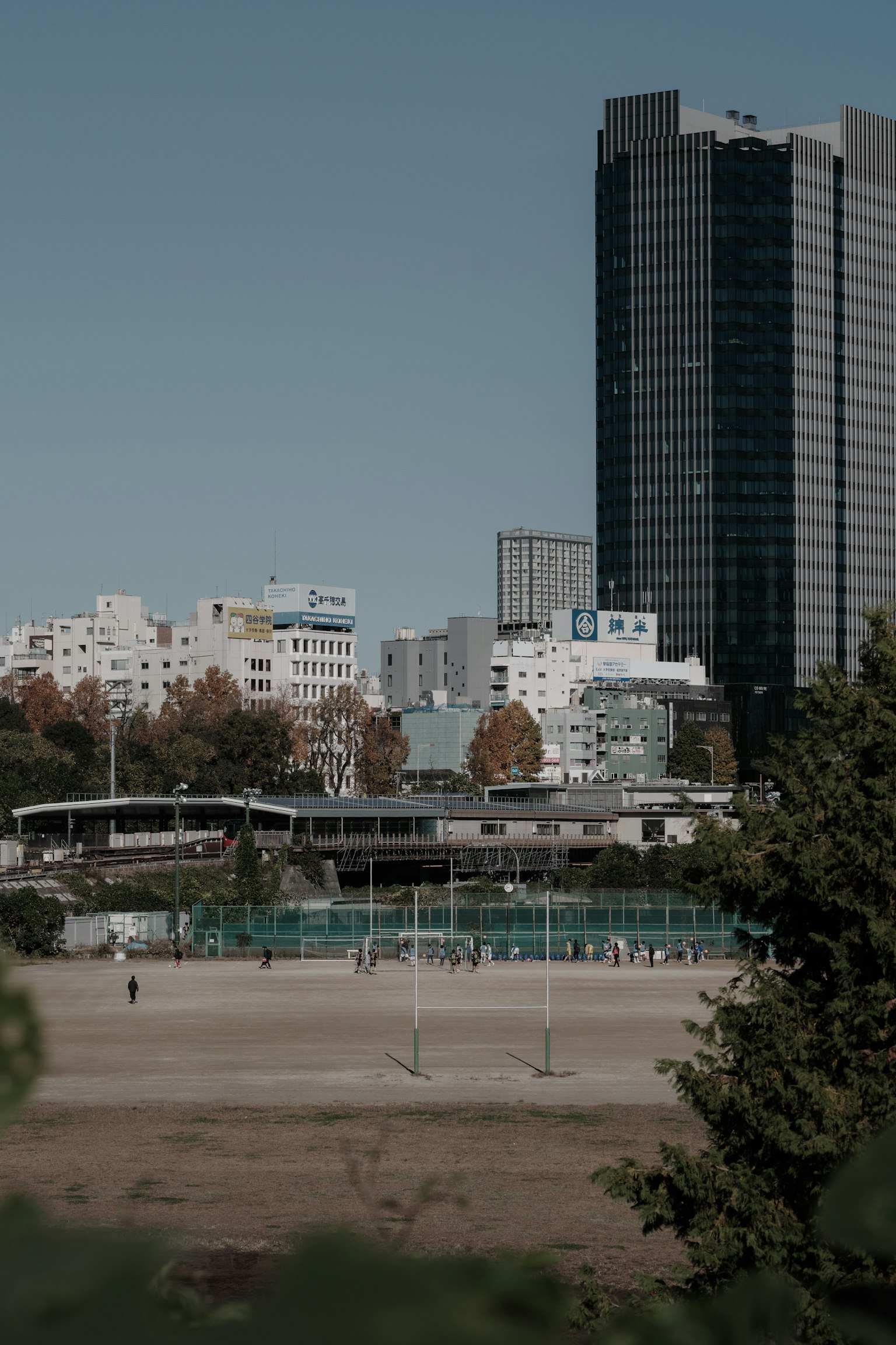 Paesaggio urbano con un grattacielo e un parco con erba verde