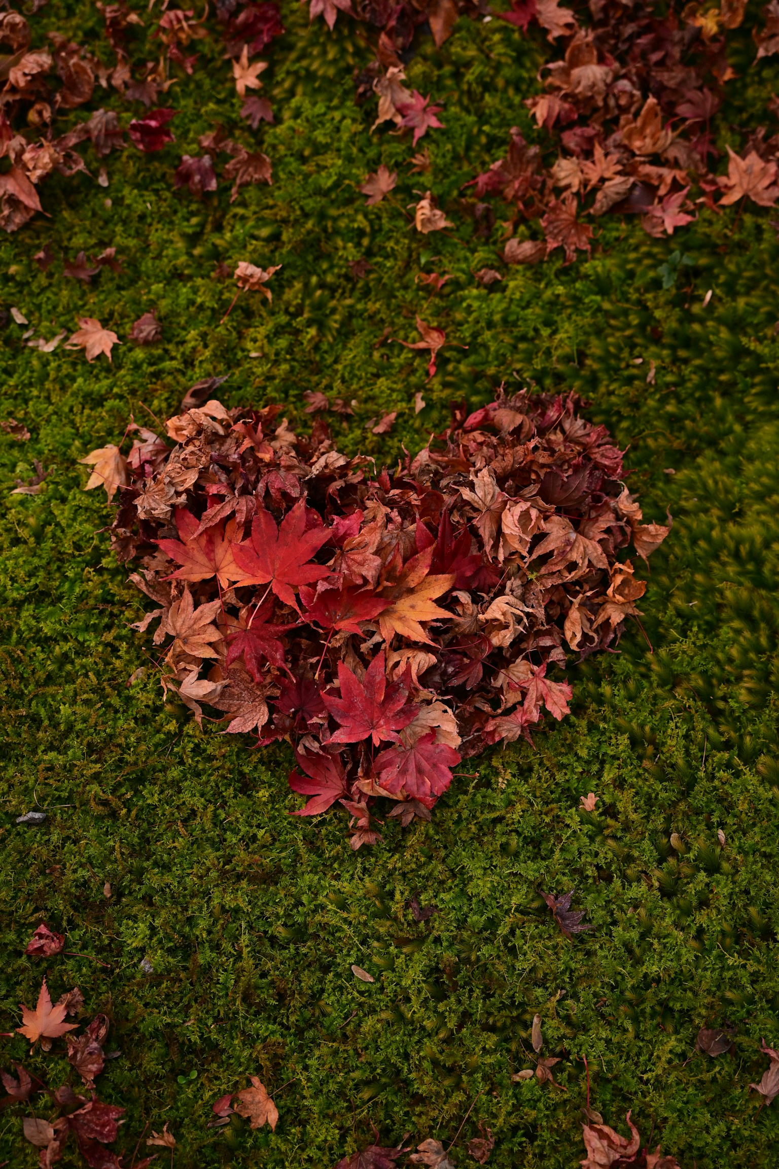 photo-Z0qsc1HY6xnWv693ztJx-image